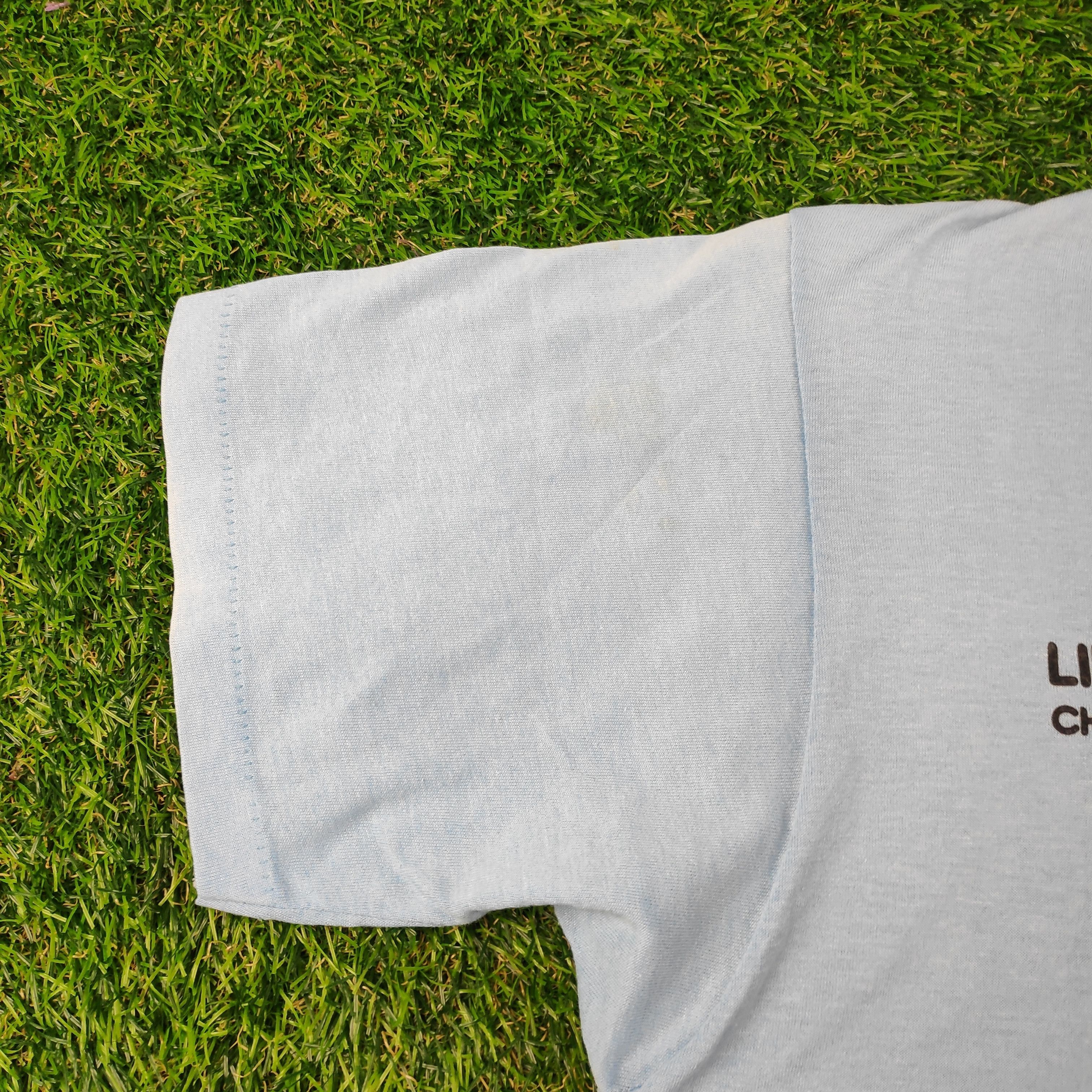 Vintage Vintage 80s Lincoln Park Zoo Paperthin Single Stitch Tee Size US M / EU 48-50 / 2 - 7 Thumbnail