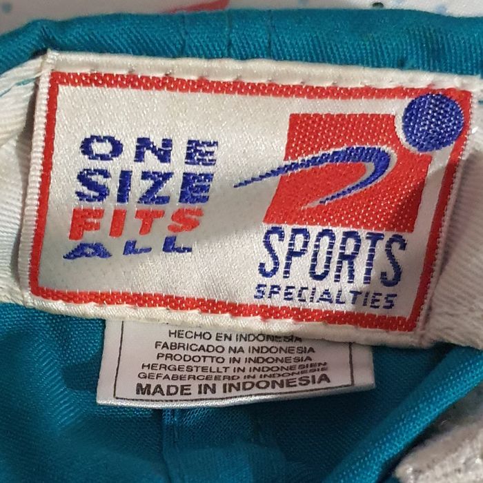 Sports Specialties Charlotte Sports Specialities Vintage Hat