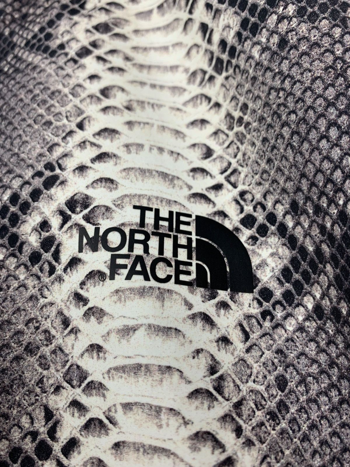 Supreme × The North Face 2018 Supreme North Face Snakeskin Taped Seam Coaches Jacket Size US L / EU 52-54 / 3 - 5 Thumbnail