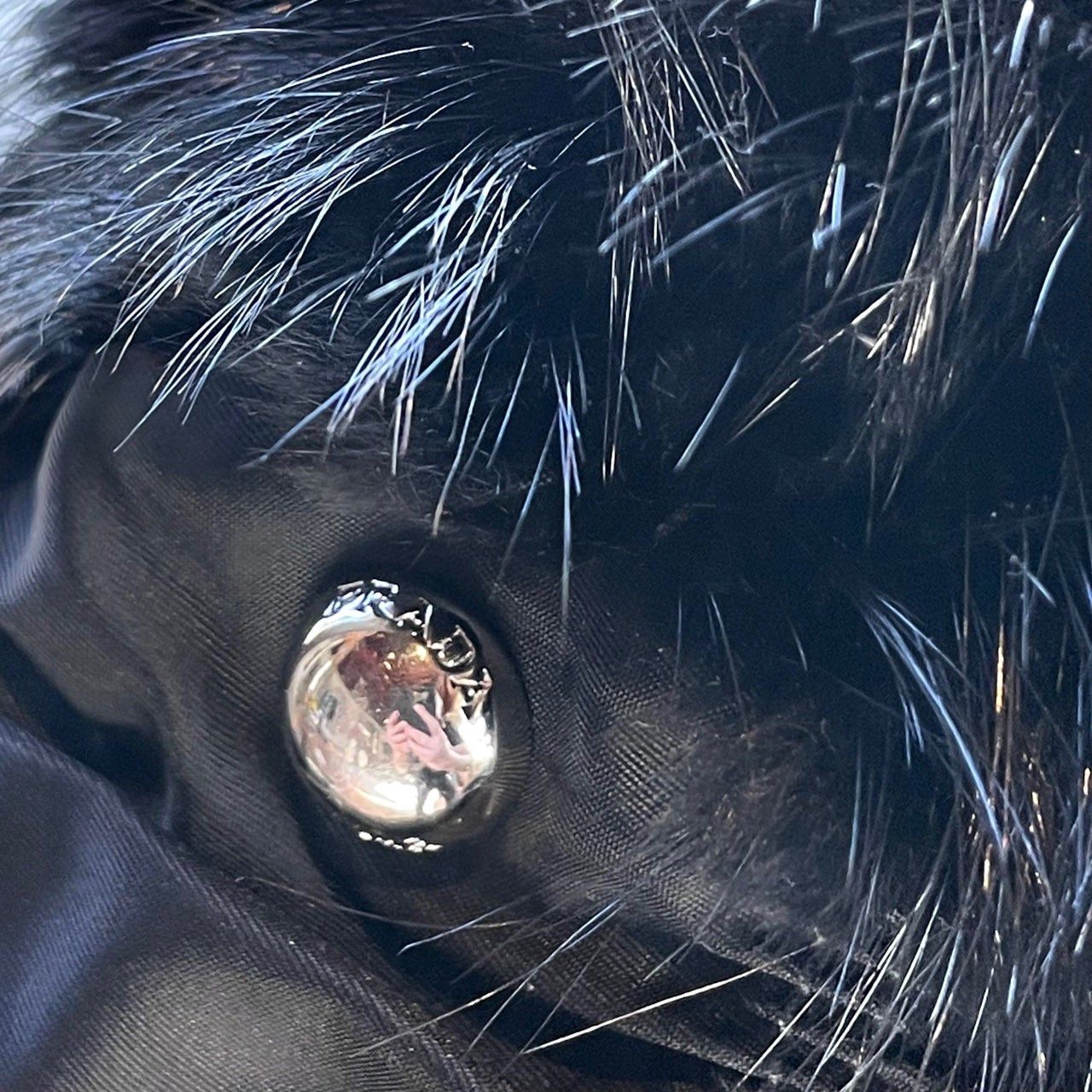 Prada Prada Black Beaver Fur Chain Bag Size ONE SIZE - 7 Thumbnail