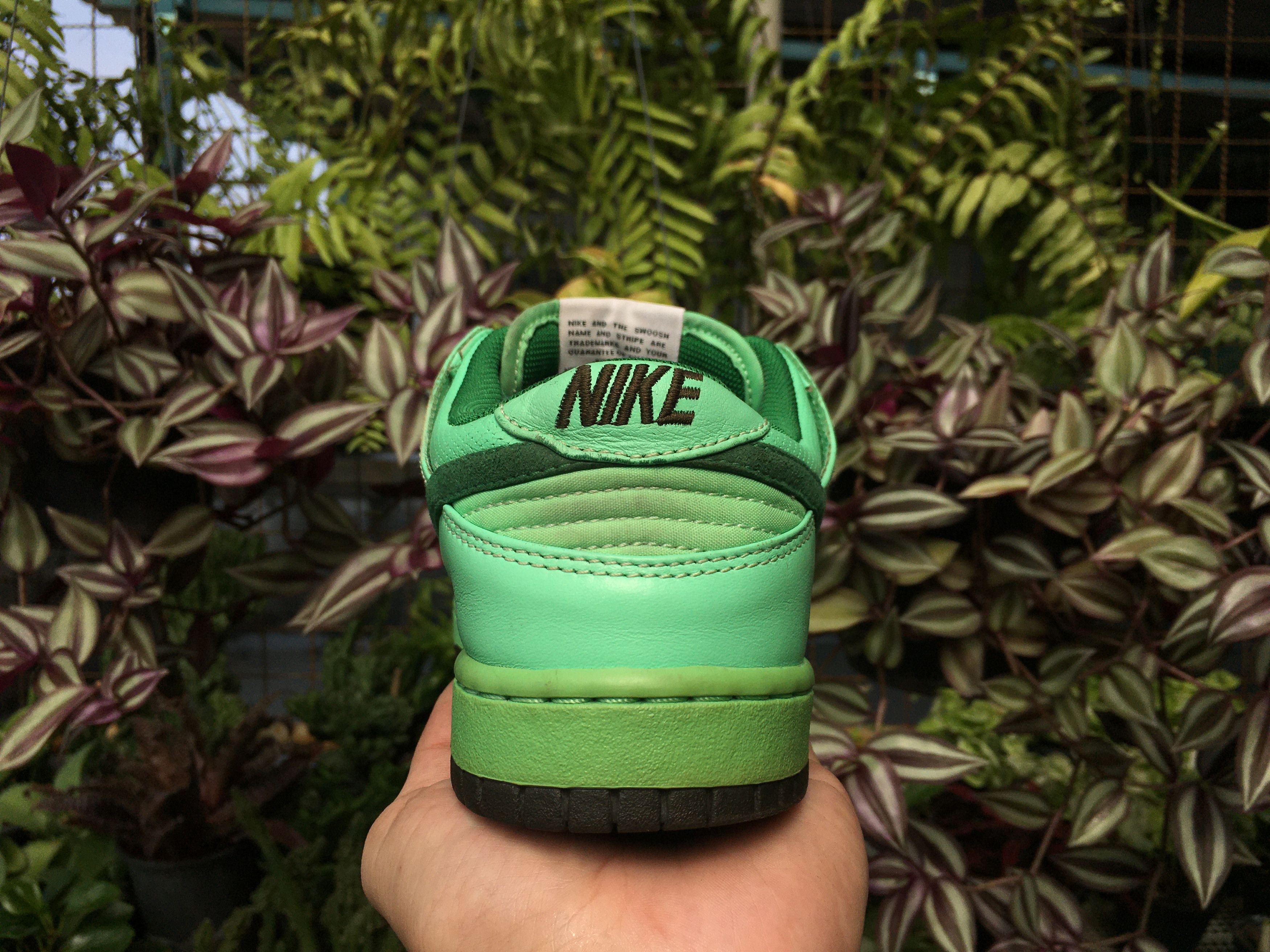 Nike Nike Dunk Low Premium QS Basic Olympic Tourmaline 2008 Wmns Size US 7.5 / IT 37.5 - 15 Thumbnail