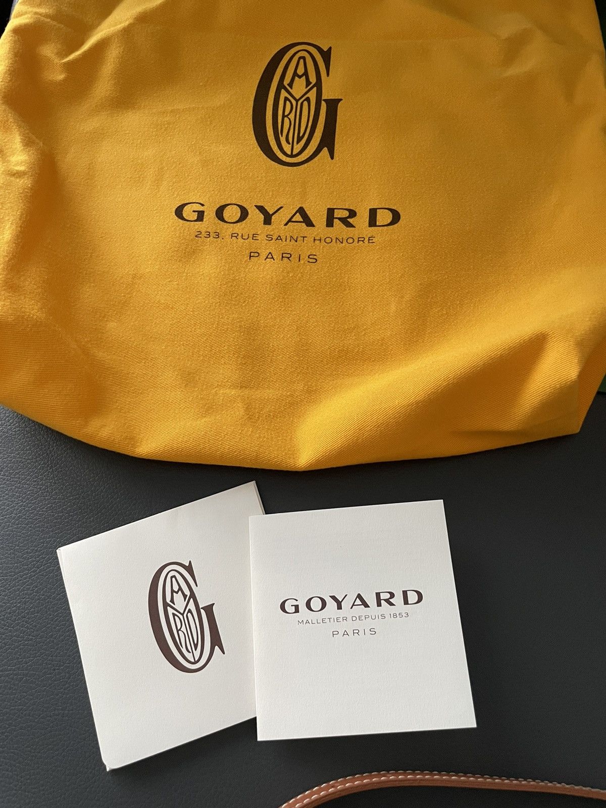 Goyard Brand NEW Iconic Classic Cap Vert Camera Bag Size ONE SIZE - 11 Thumbnail