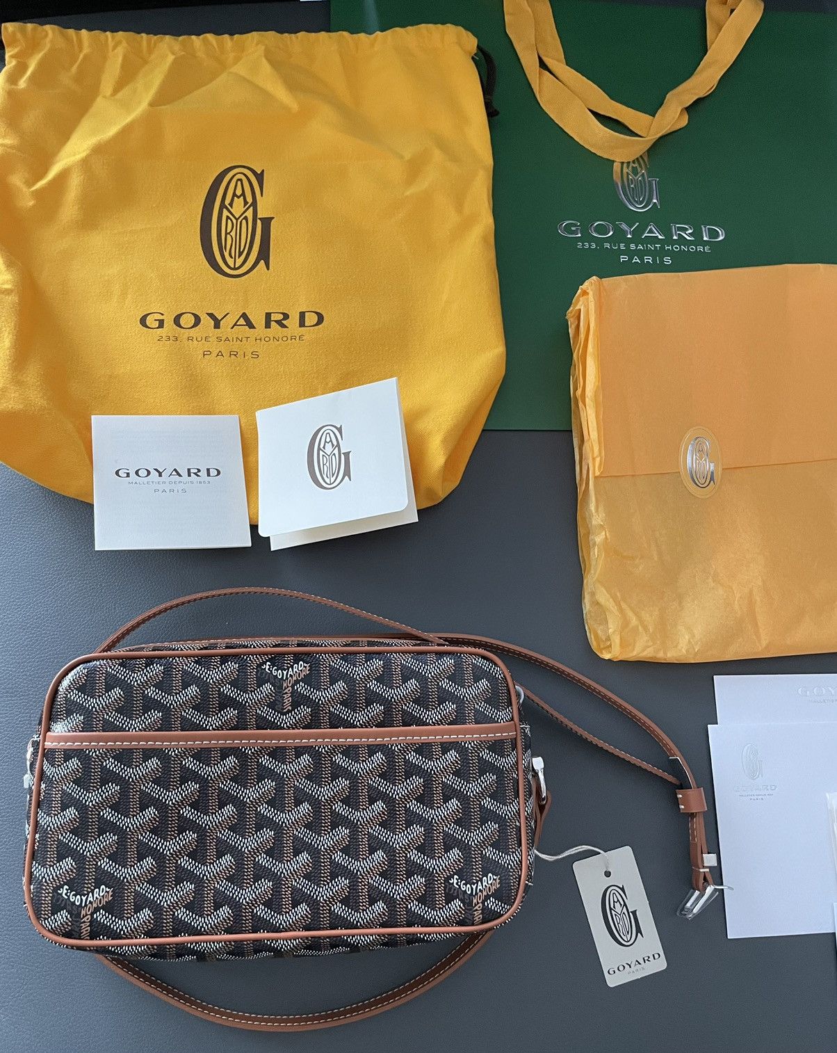 Goyard Brand NEW Iconic Classic Cap Vert Camera Bag Size ONE SIZE - 7 Thumbnail