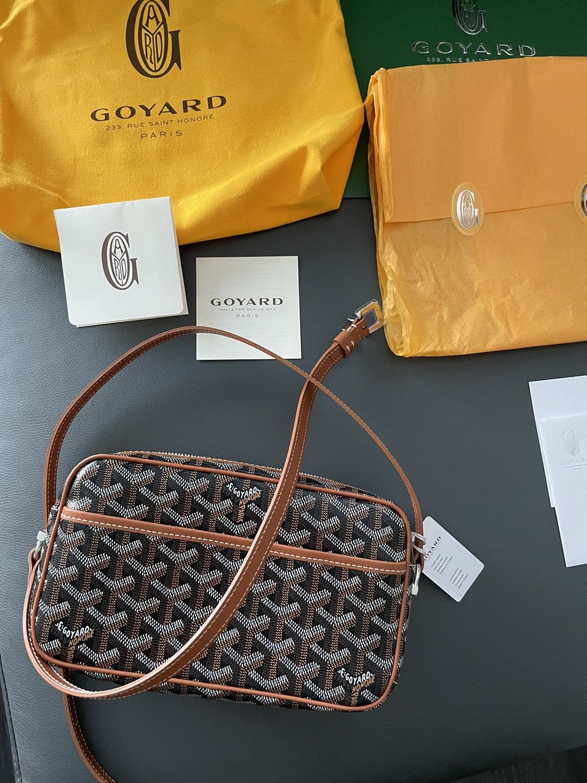 Goyard Brand NEW Iconic Classic Cap Vert Camera Bag Size ONE SIZE - 20 Thumbnail