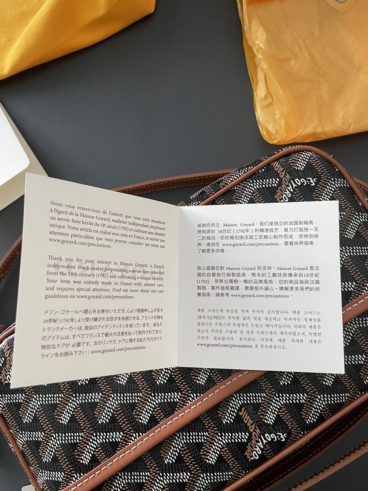 Goyard Brand NEW Iconic Classic Cap Vert Camera Bag Size ONE SIZE - 10 Thumbnail