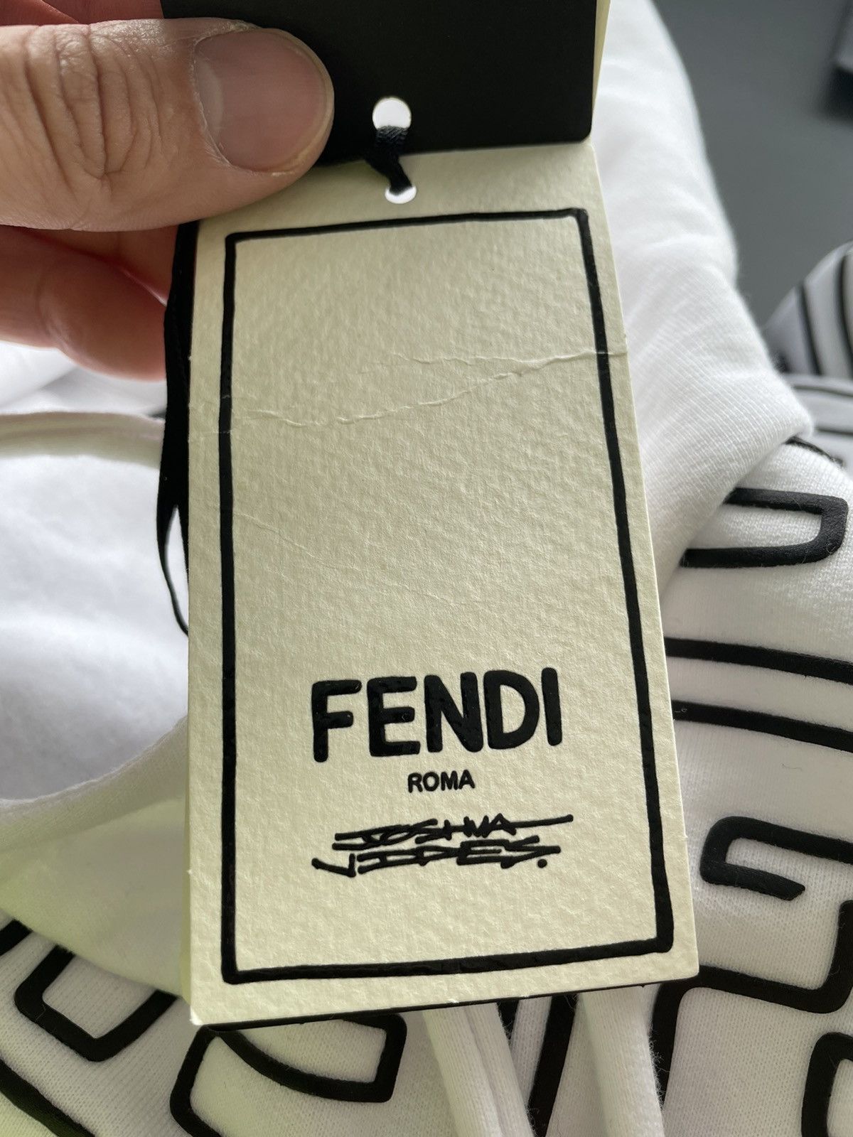 Fendi Super Runway Fendi x Joshua Vides Fendi Hoodie Size US XL / EU 56 / 4 - 18 Thumbnail