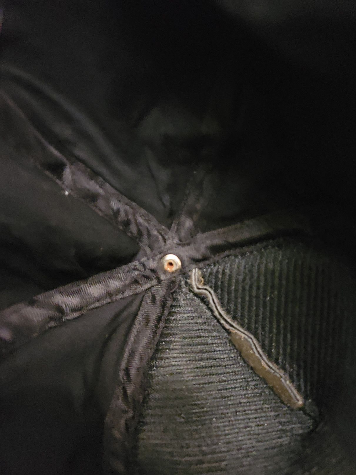 KTZ FINAL DROP ! KTZ Horned glitter black hat Size ONE SIZE - 6 Thumbnail