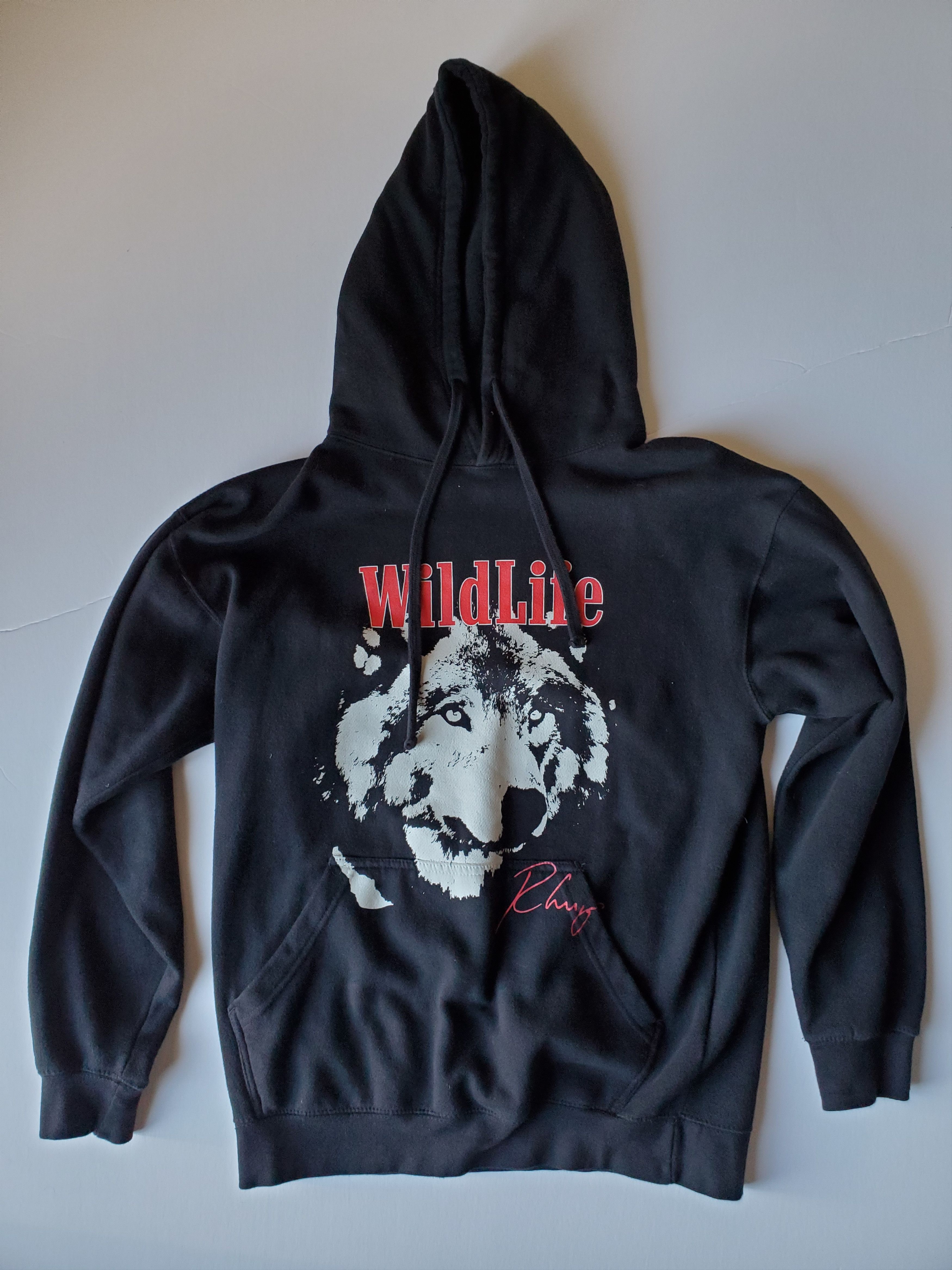Pacsun Rhuigi Wildlife Hoodie Sz Medium Rhude Size US M / EU 48-50 / 2 - 1 Thumbnail