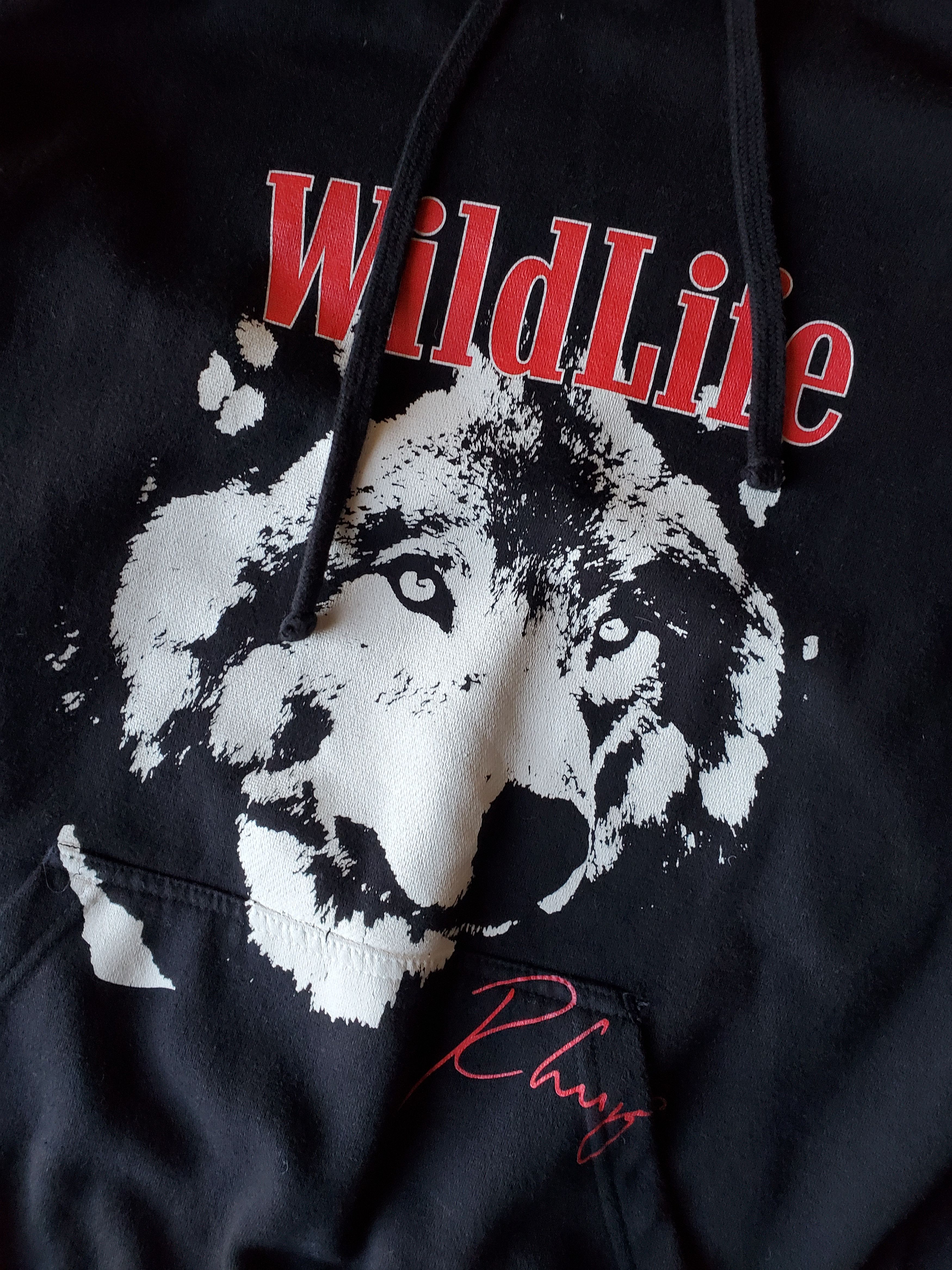 Pacsun Rhuigi Wildlife Hoodie Sz Medium Rhude Size US M / EU 48-50 / 2 - 2 Thumbnail