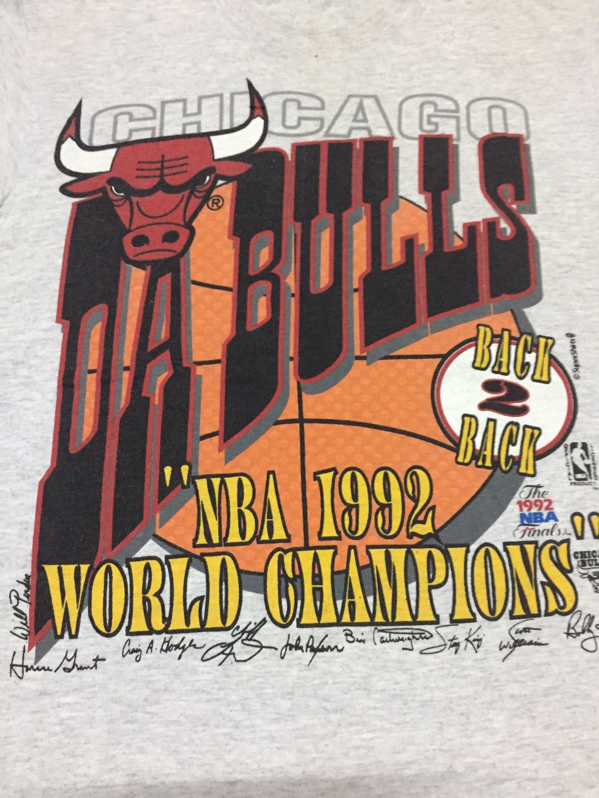 Vintage Chicago Bulls Players Signature