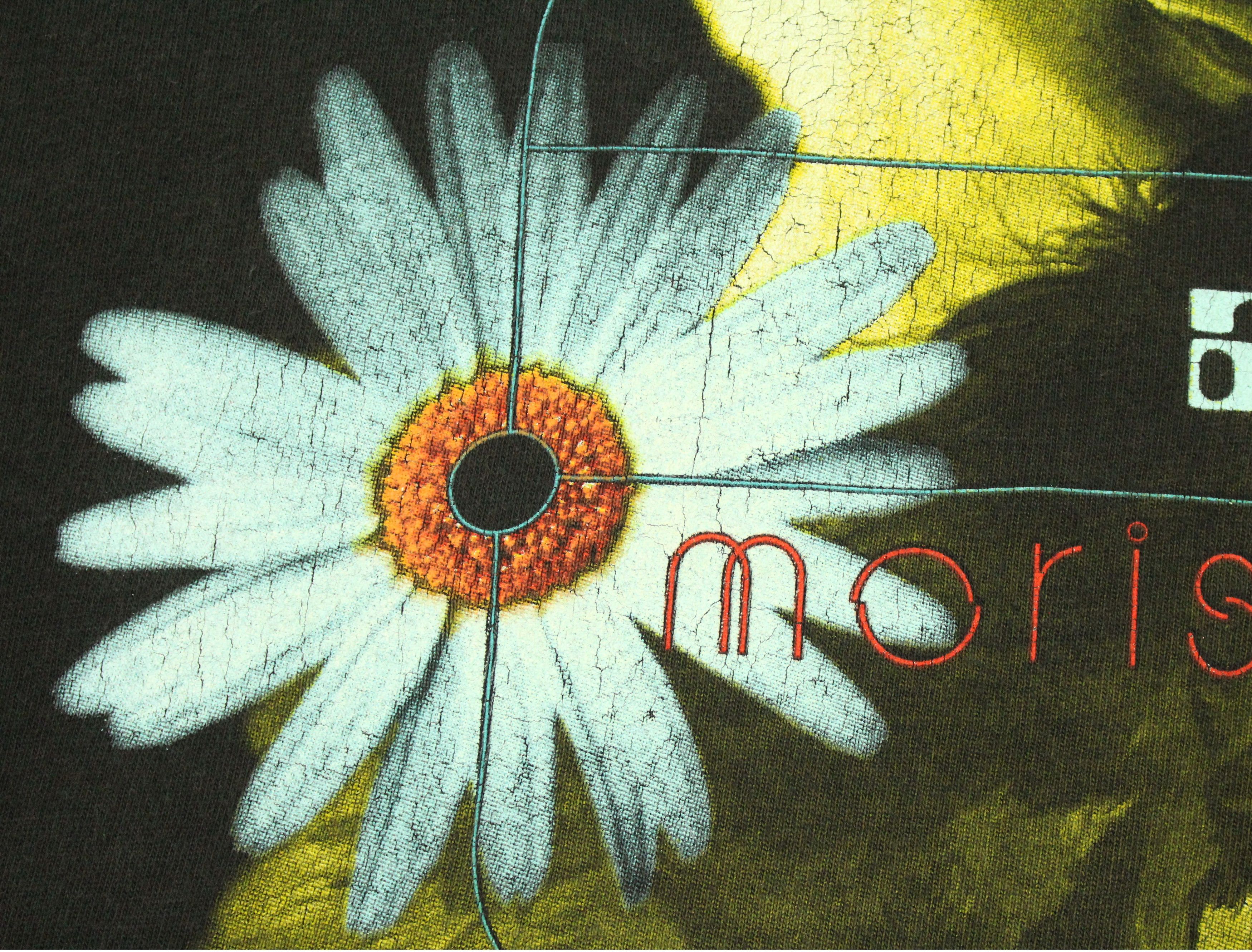 Band Tees Vintage 90s ALANIS MORISSETTE T Shirt Single Stitch Size US L / EU 52-54 / 3 - 12 Thumbnail