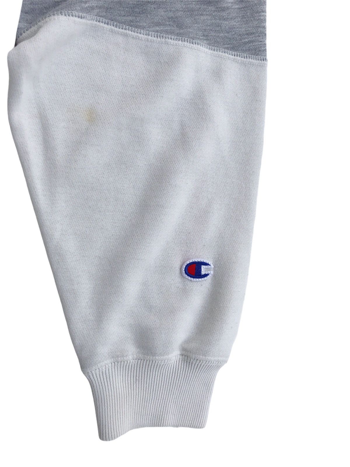 Champion Vintage Champion Big Logo Hoodie Sweatshirt Medium Size Size US M / EU 48-50 / 2 - 4 Thumbnail