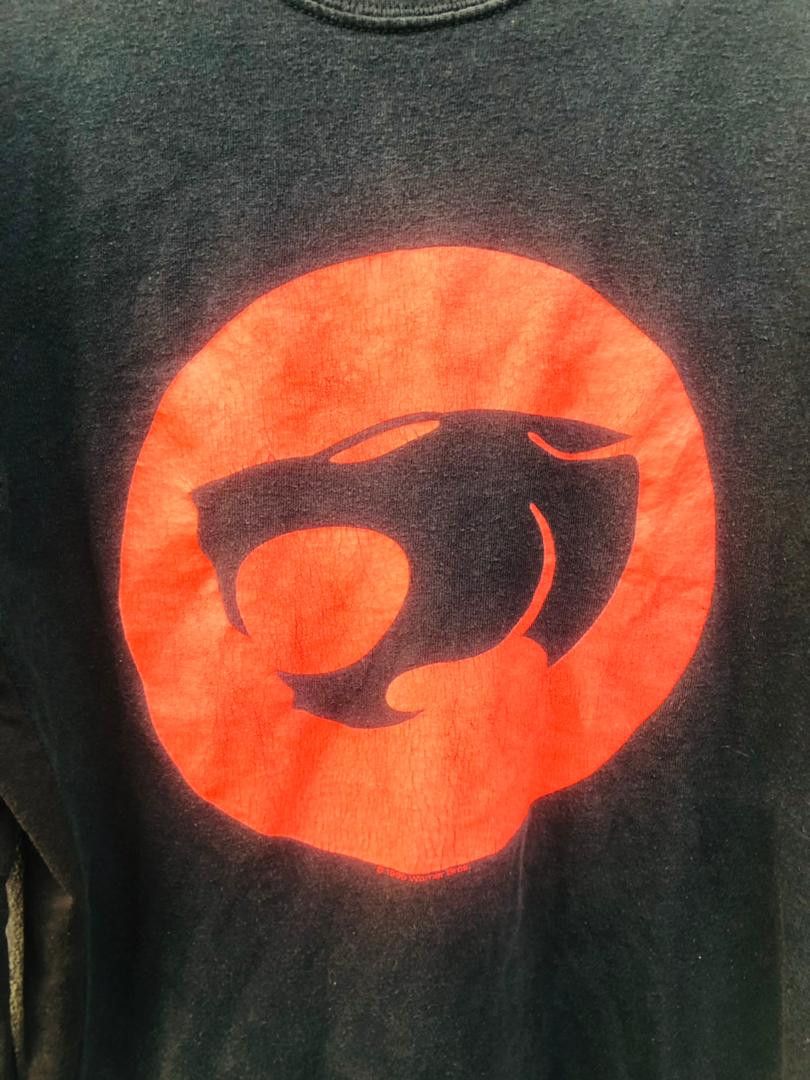 Japanese Brand × Vintage Vintage Thundercat Champion Custom Streetwear Shirt Size US M / EU 48-50 / 2 - 3 Thumbnail