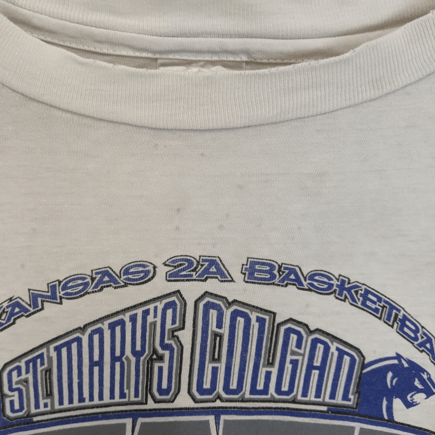 NBA 1996 ST MARY COLGAN Panthers Basketball State Champs Tee Size US L / EU 52-54 / 3 - 9 Thumbnail