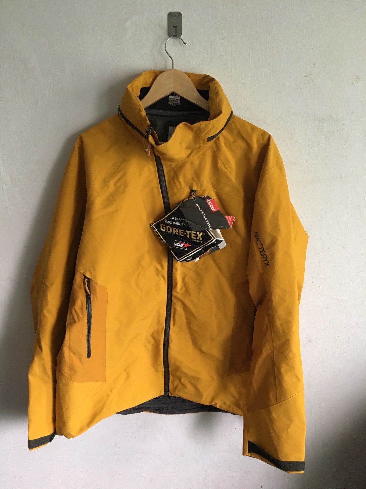 Arc'teryx × Goretex Old Stock Arc'teryx Arcteryx Jacket Core