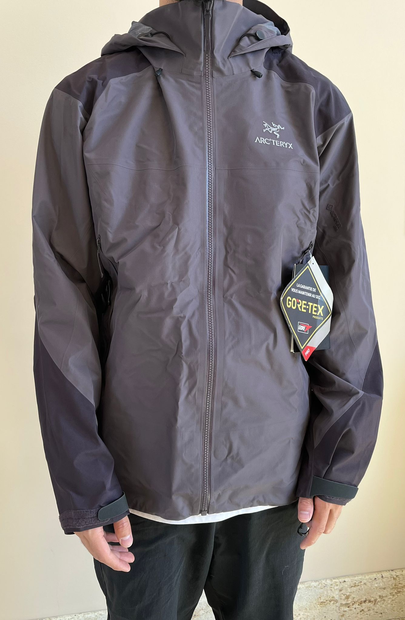 Arc'teryx Alpha AR in Flare Size XL / US 12-14 / IT 48-50 - 15 Thumbnail