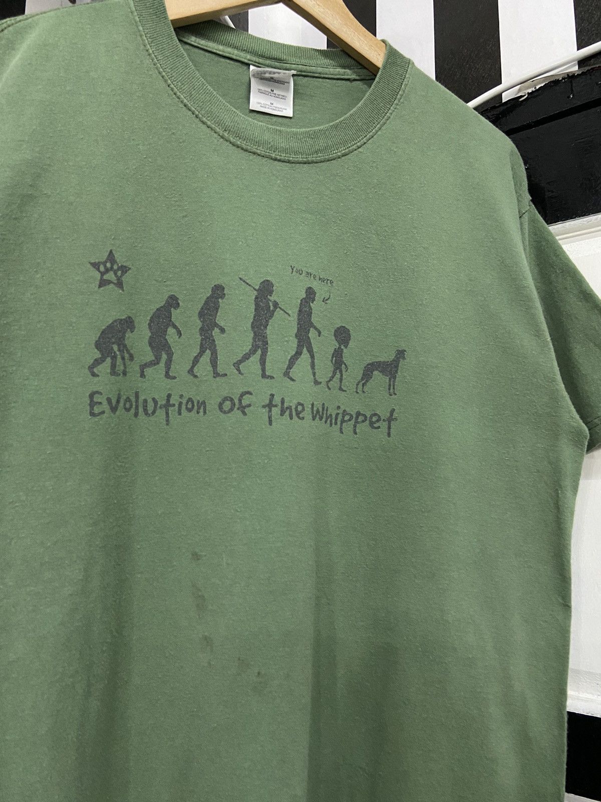 Arts & Science × Vintage Vintage Human Evolution Of The Whippet Darwin Theory Tshirt Size US M / EU 48-50 / 2 - 3 Thumbnail