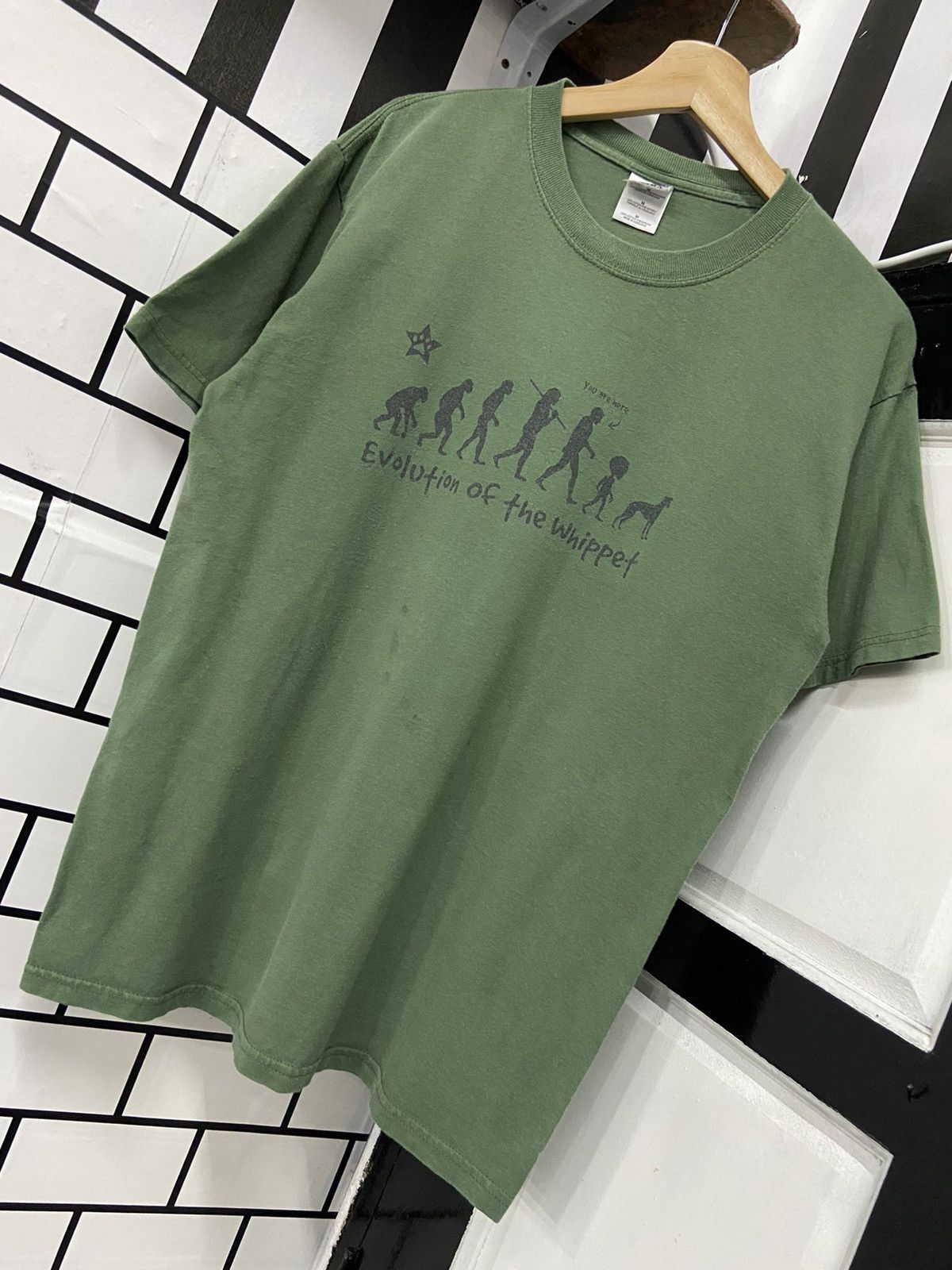 Arts & Science × Vintage Vintage Human Evolution Of The Whippet Darwin Theory Tshirt Size US M / EU 48-50 / 2 - 4 Thumbnail