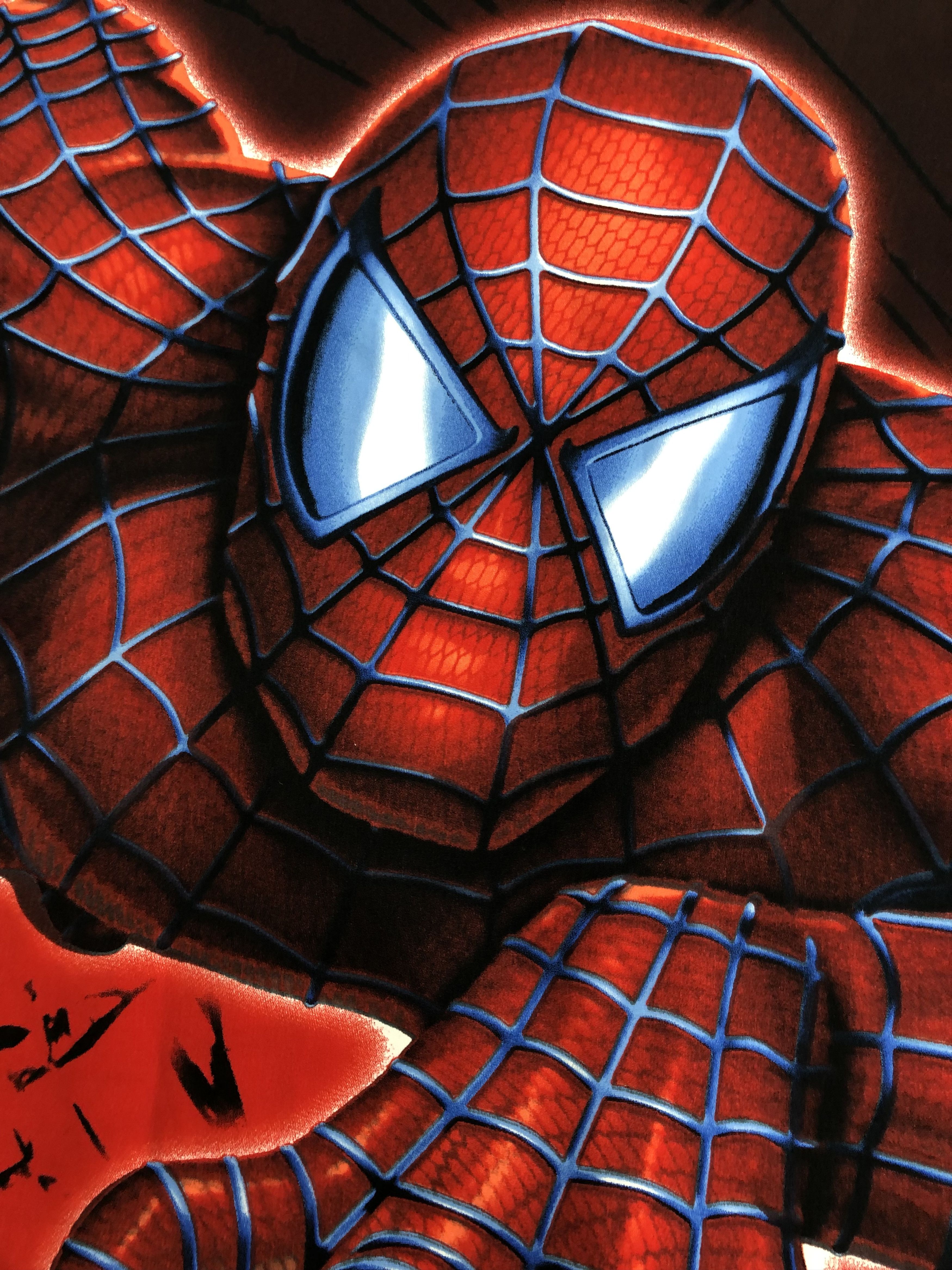 DC Comics Vintage 2002 Spider-man shirt (Captain America Iron Man) Size US XL / EU 56 / 4 - 7 Thumbnail