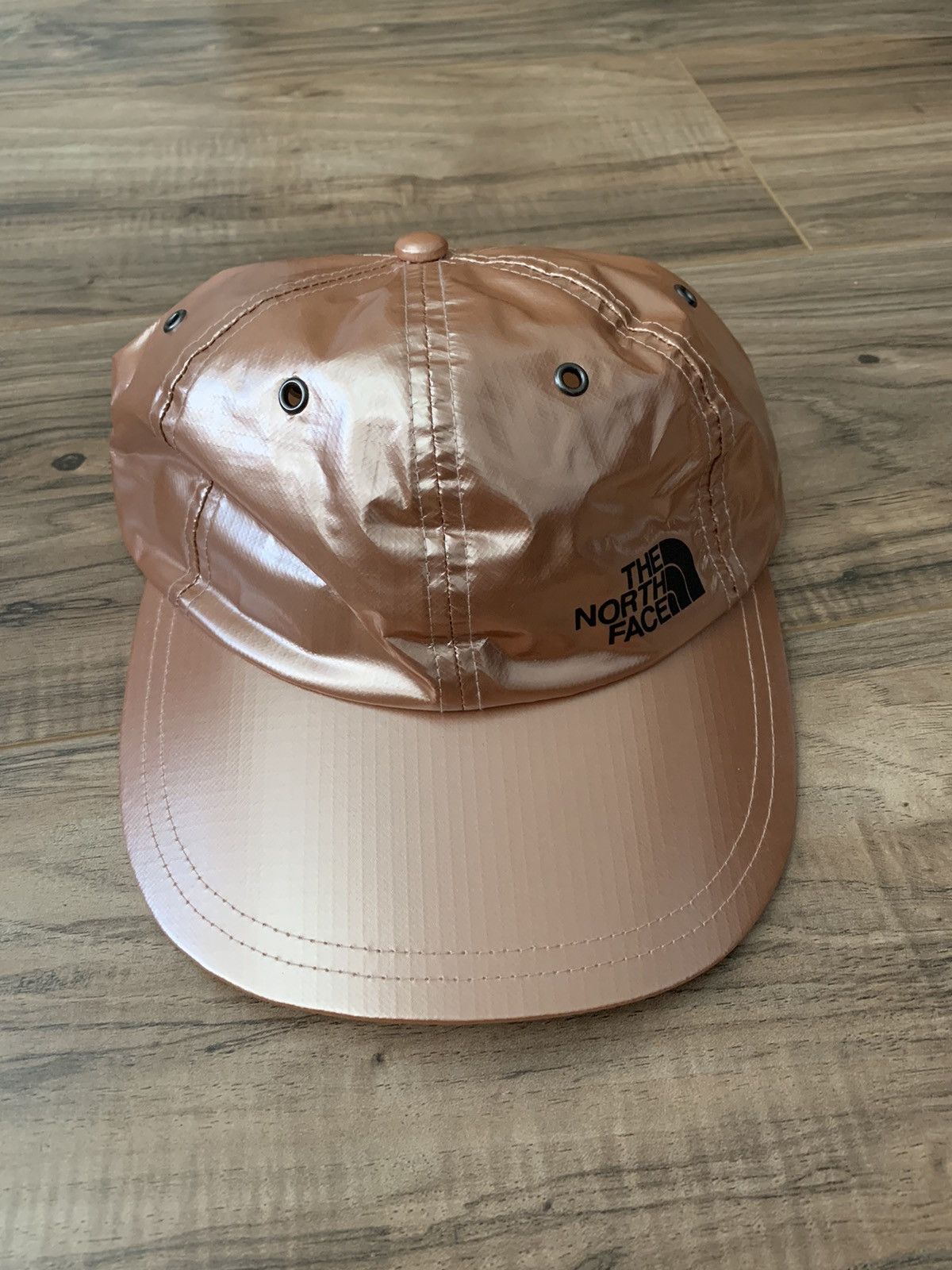 Supreme The North Face Metallic 6-Panel