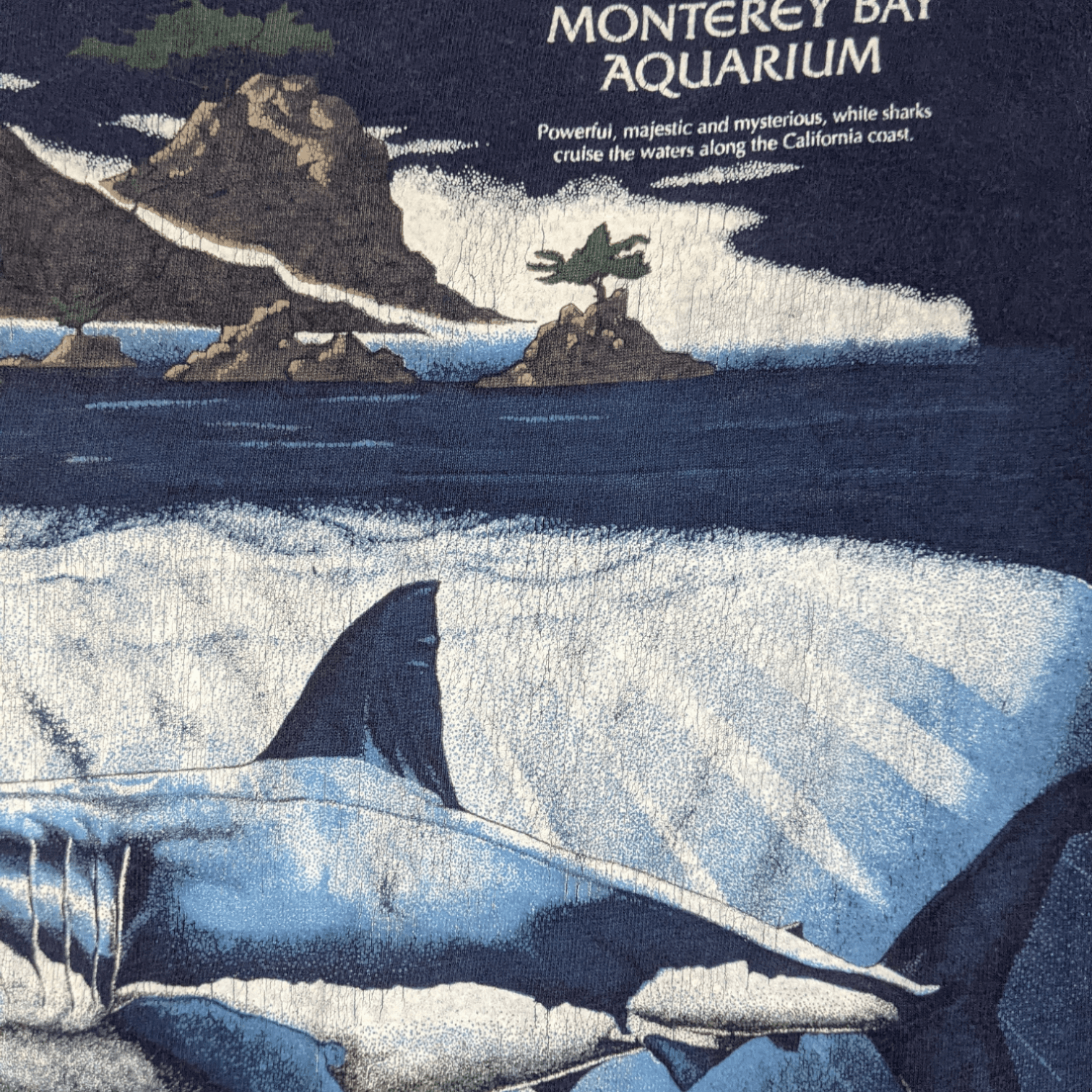 Hanes Vintage 90's HANES Monterey Bay Aquarium Full Print T-Shirt Size US XL / EU 56 / 4 - 5 Thumbnail
