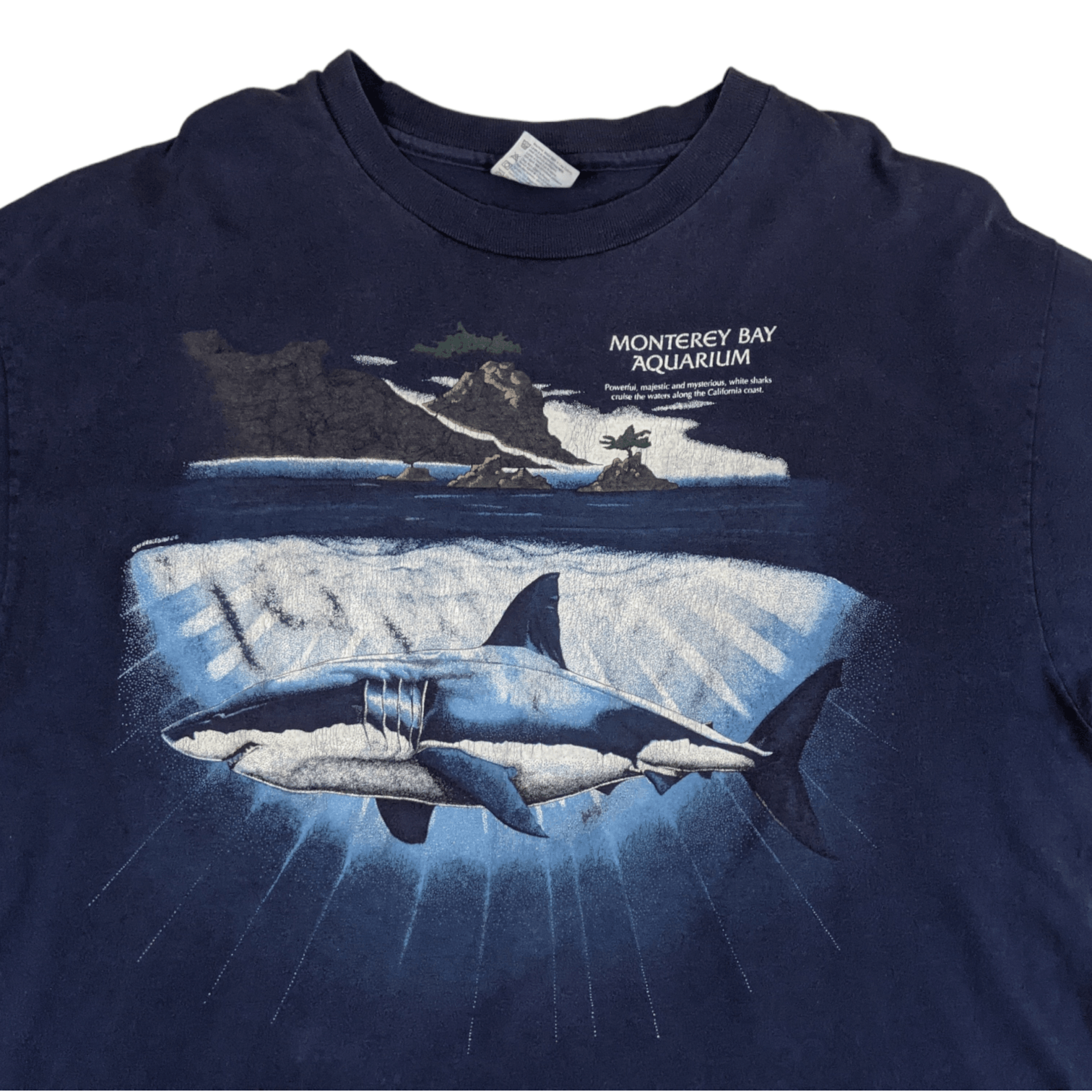 Hanes Vintage 90's HANES Monterey Bay Aquarium Full Print T-Shirt Size US XL / EU 56 / 4 - 4 Thumbnail
