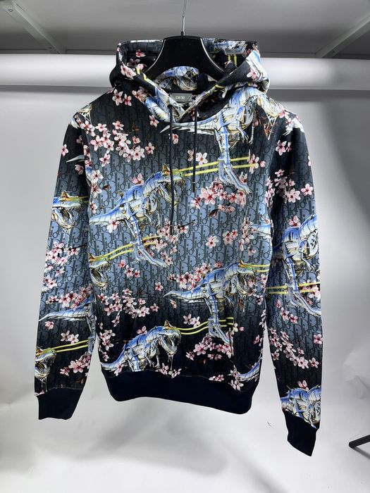 Dior sales dinosaur hoodie