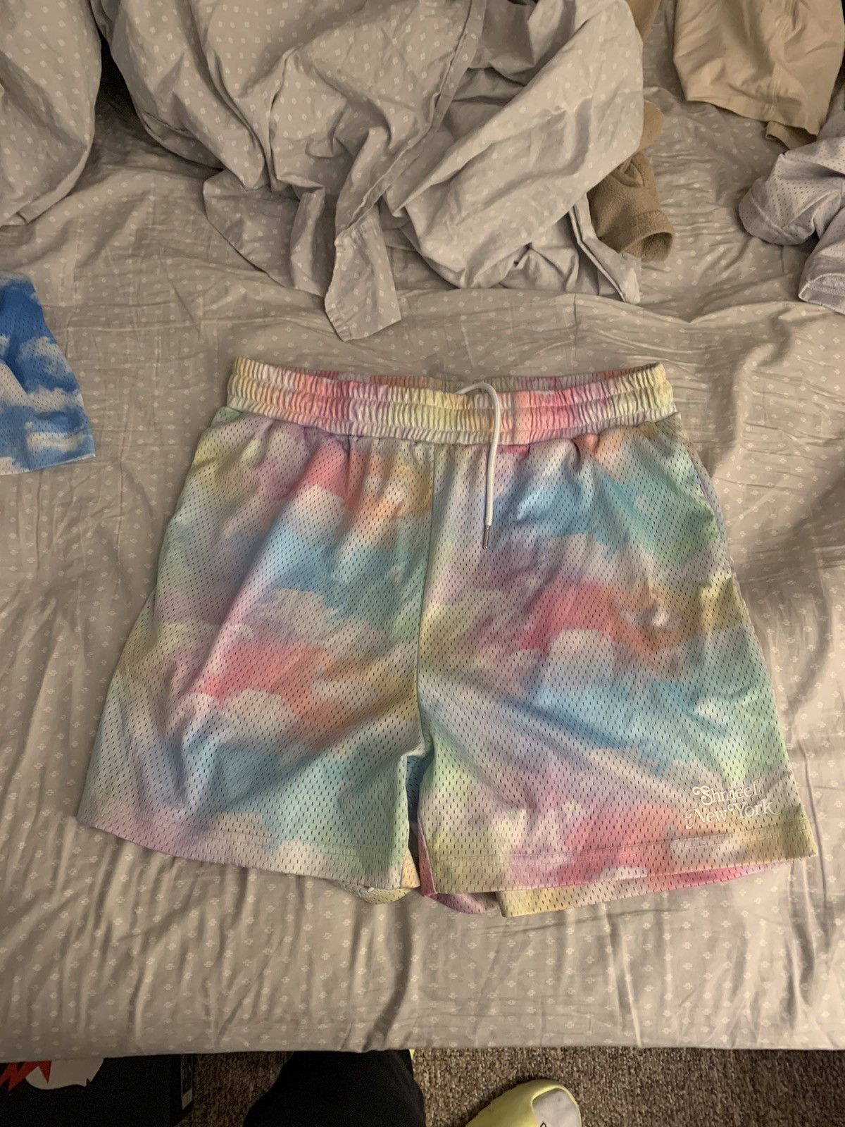 Shmeel ShmeelNYC Rainbow Mesh Shorts Size US 34 / EU 50 - 3 Thumbnail