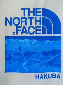 The North Face THE NORTH FACE T-SHIRT Size US L / EU 52-54 / 3 - 5 Thumbnail