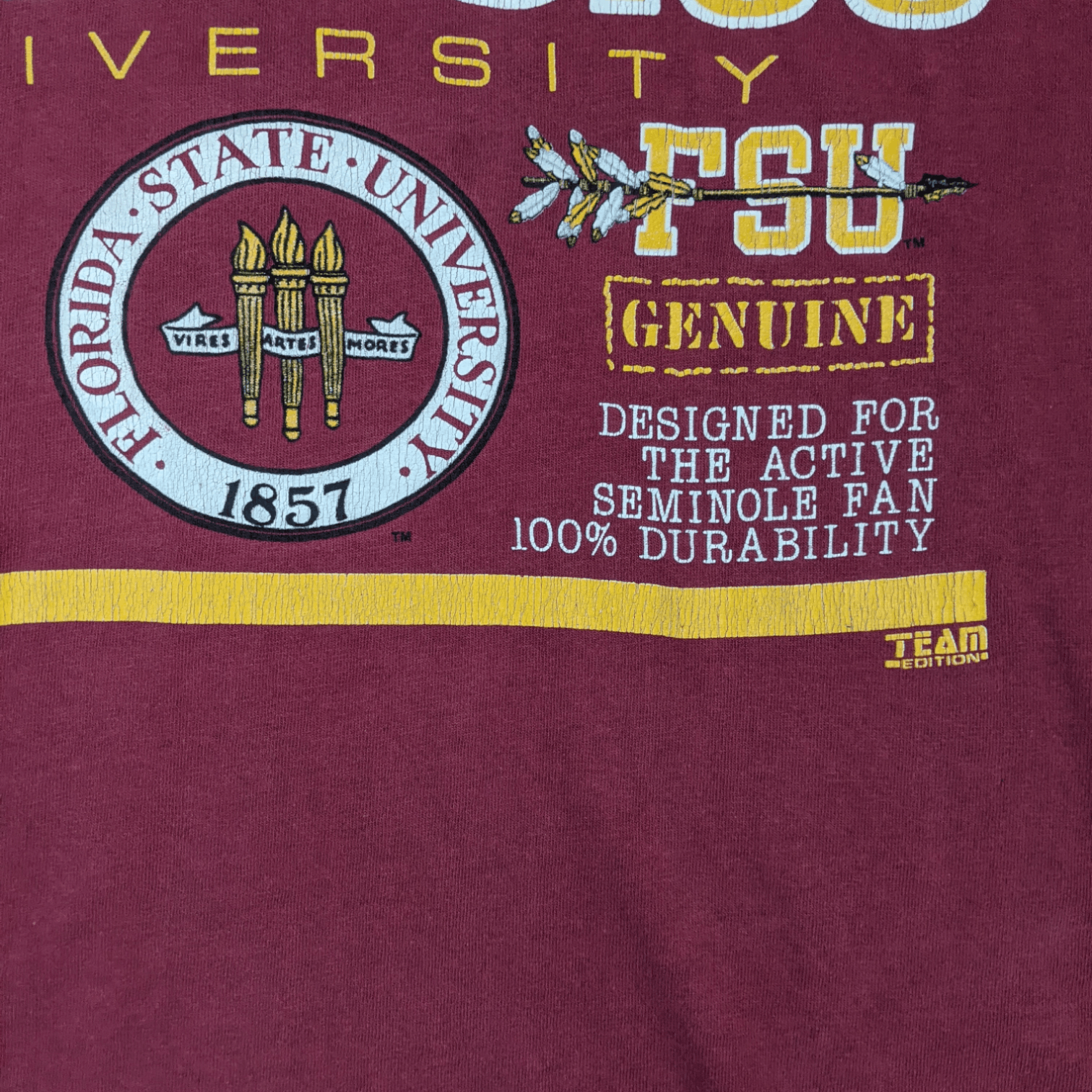NFL 90's SEMINOLES Florida University Football Team T-Shirt Size US L / EU 52-54 / 3 - 6 Thumbnail