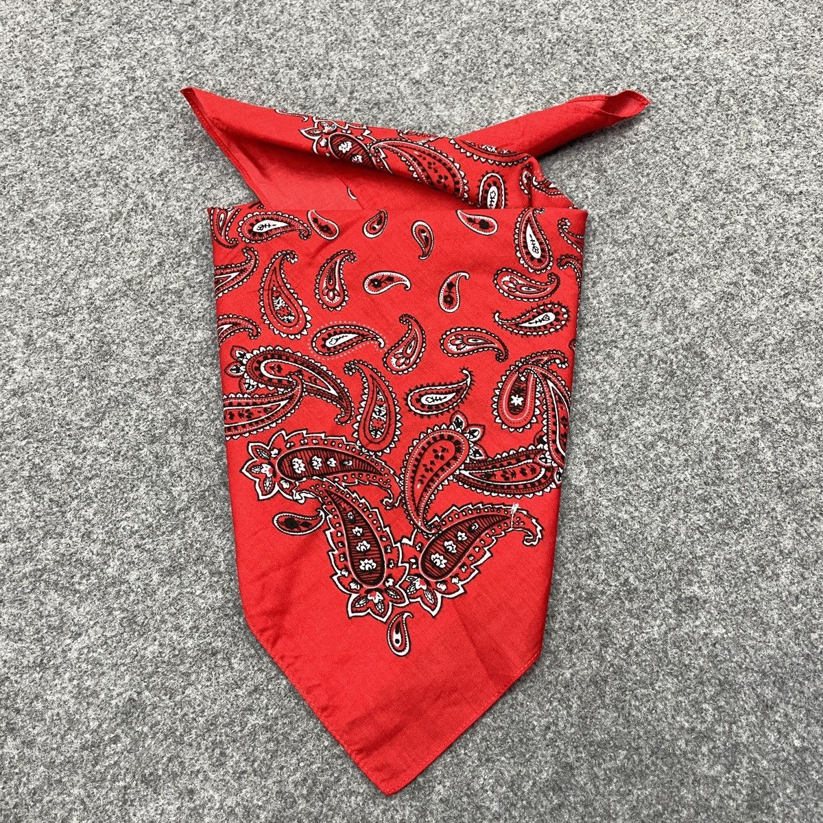 Paisley Handkerchief