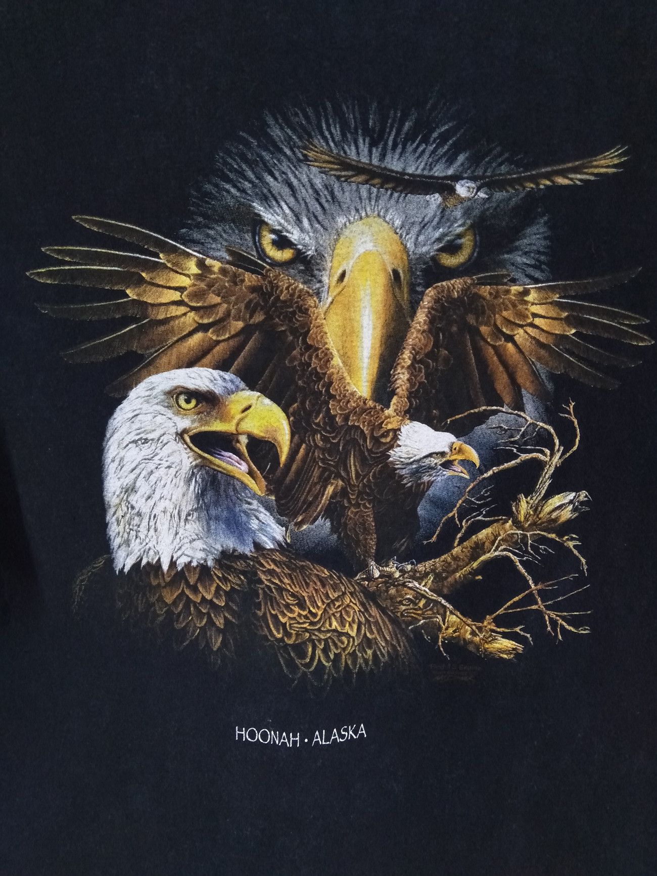 Hanes × Vintage Graphic Tee FIND 13 EAGLES HOONAH-ALASKA T-Shirt Size US XL / EU 56 / 4 - 3 Thumbnail