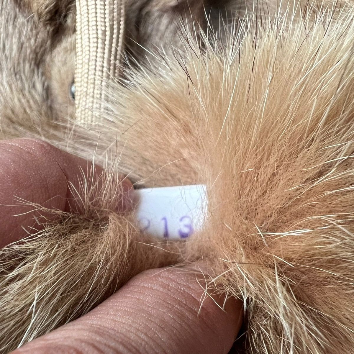 Vintage VINTAGE MINK FURR NECK SCARF Size ONE SIZE - 21 Thumbnail