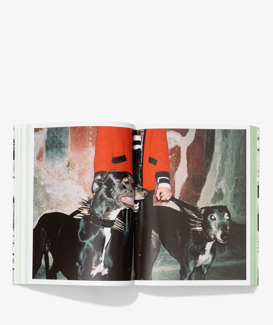 Gucci GUCCI BY HARMONY KORINE - PRE FALL 2019 Size ONE SIZE - 6 Thumbnail