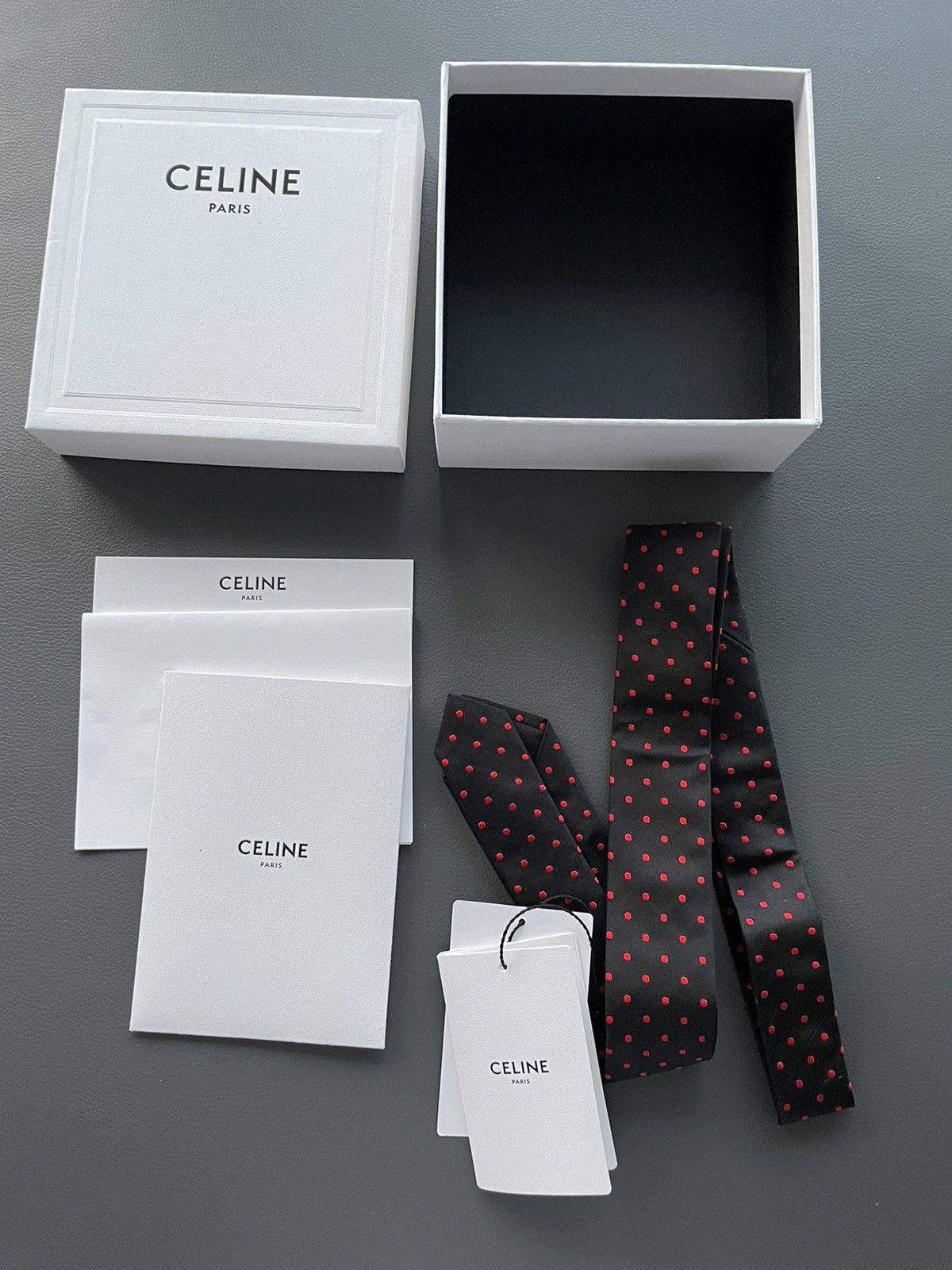 Celine × Hedi Slimane Rare Limited Edition Celine by Hedi Slimane Runway Silk Tie Size ONE SIZE - 3 Thumbnail