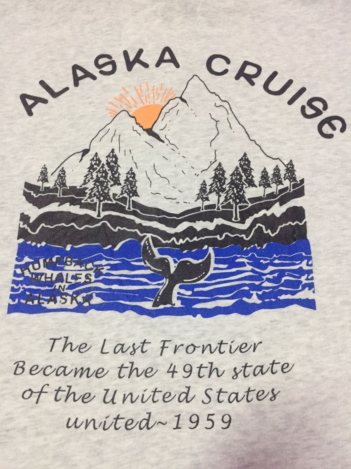 Other Alaska Cruise United States Sweatshirts Size US XL / EU 56 / 4 - 3 Thumbnail