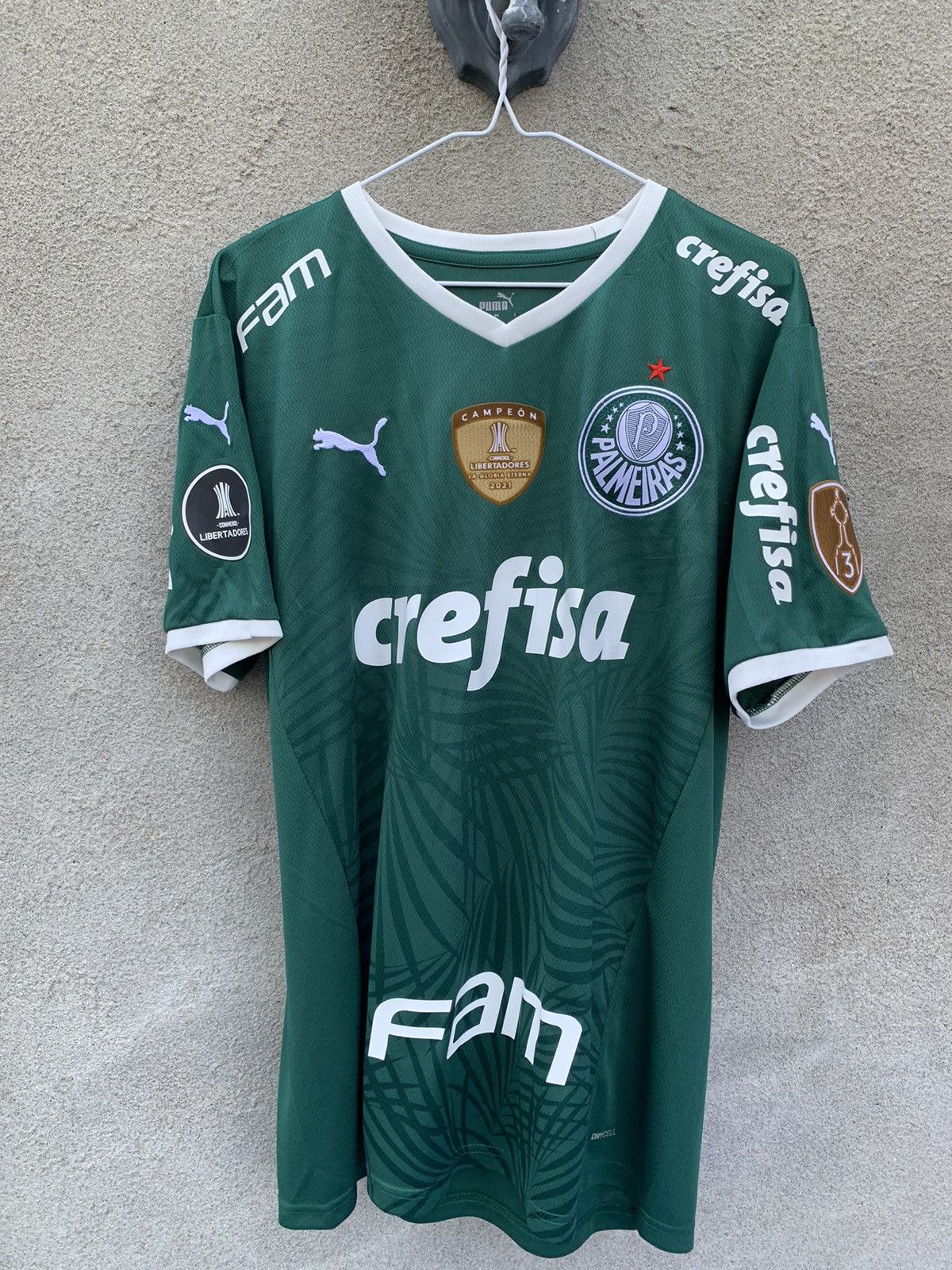 Puma × Soccer Jersey × Streetwear Palmeiras Danilo Brazil