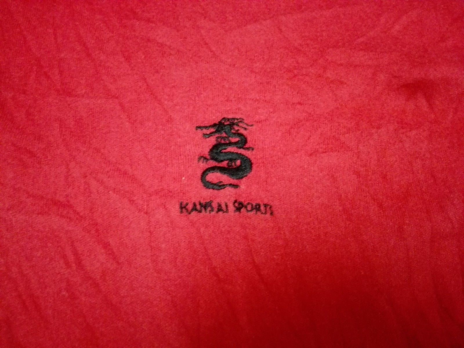 Japanese Brand KANSAI SPORTS POLO YAMAMOTO Men's Dragon Embroidery Size US L / EU 52-54 / 3 - 2 Thumbnail