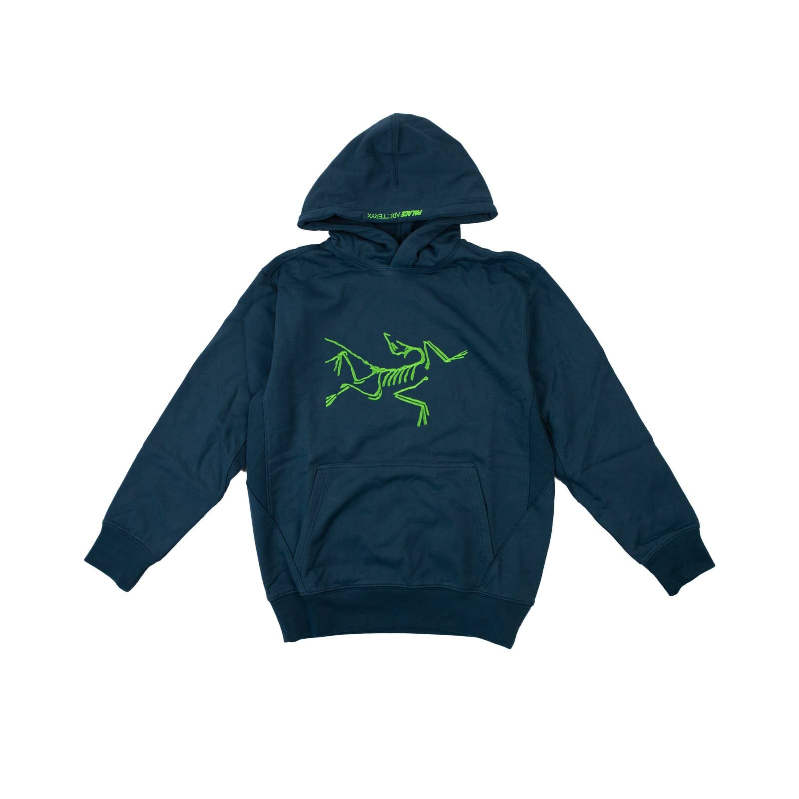 image of Arcteryx Palace Arc'teryx Hoodie Teal Tri-Ferg in Blue, Men's (Size Small)