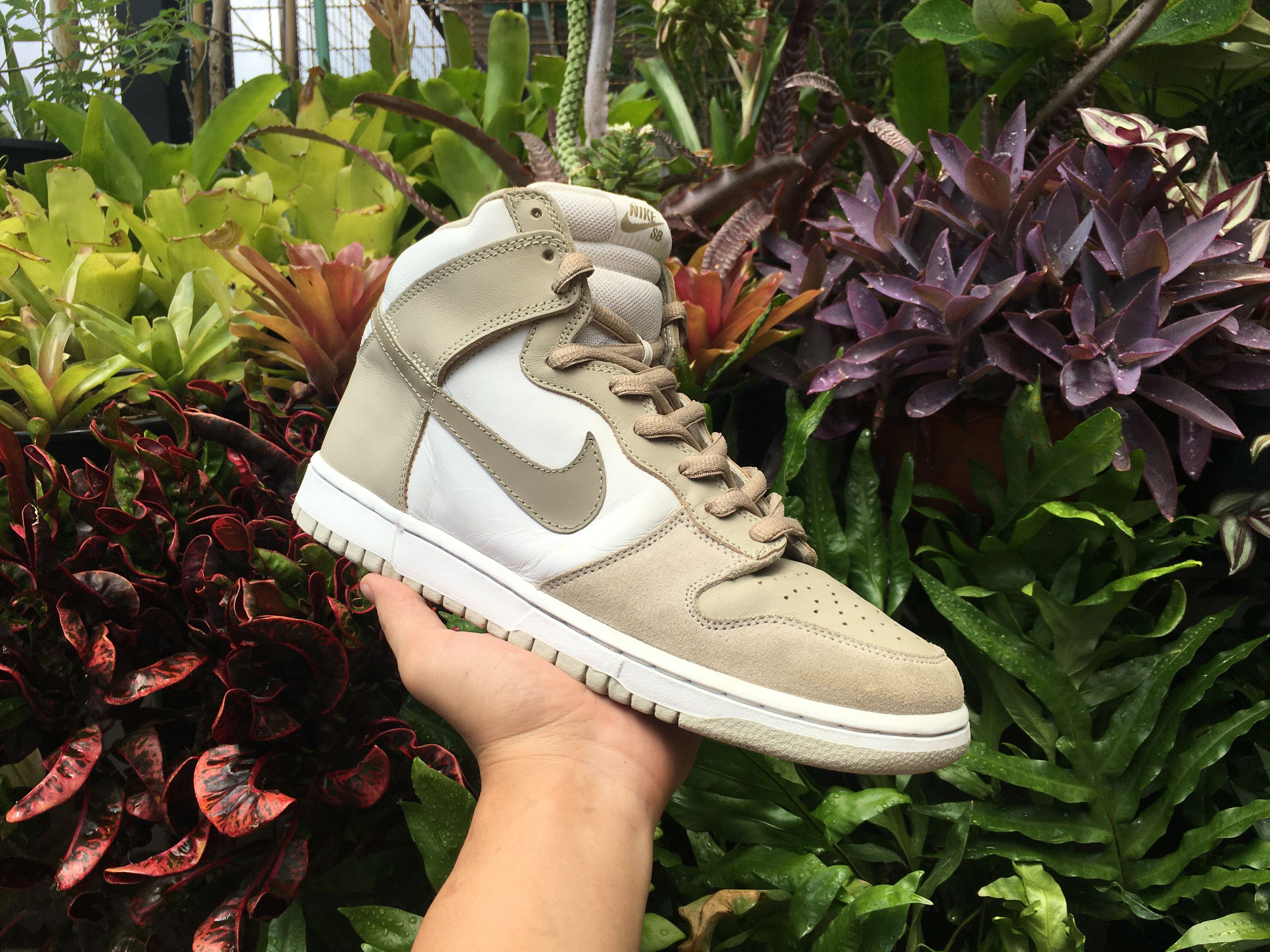 🔥 Nike Dunk High Pro SB White Khaki Creed 2005