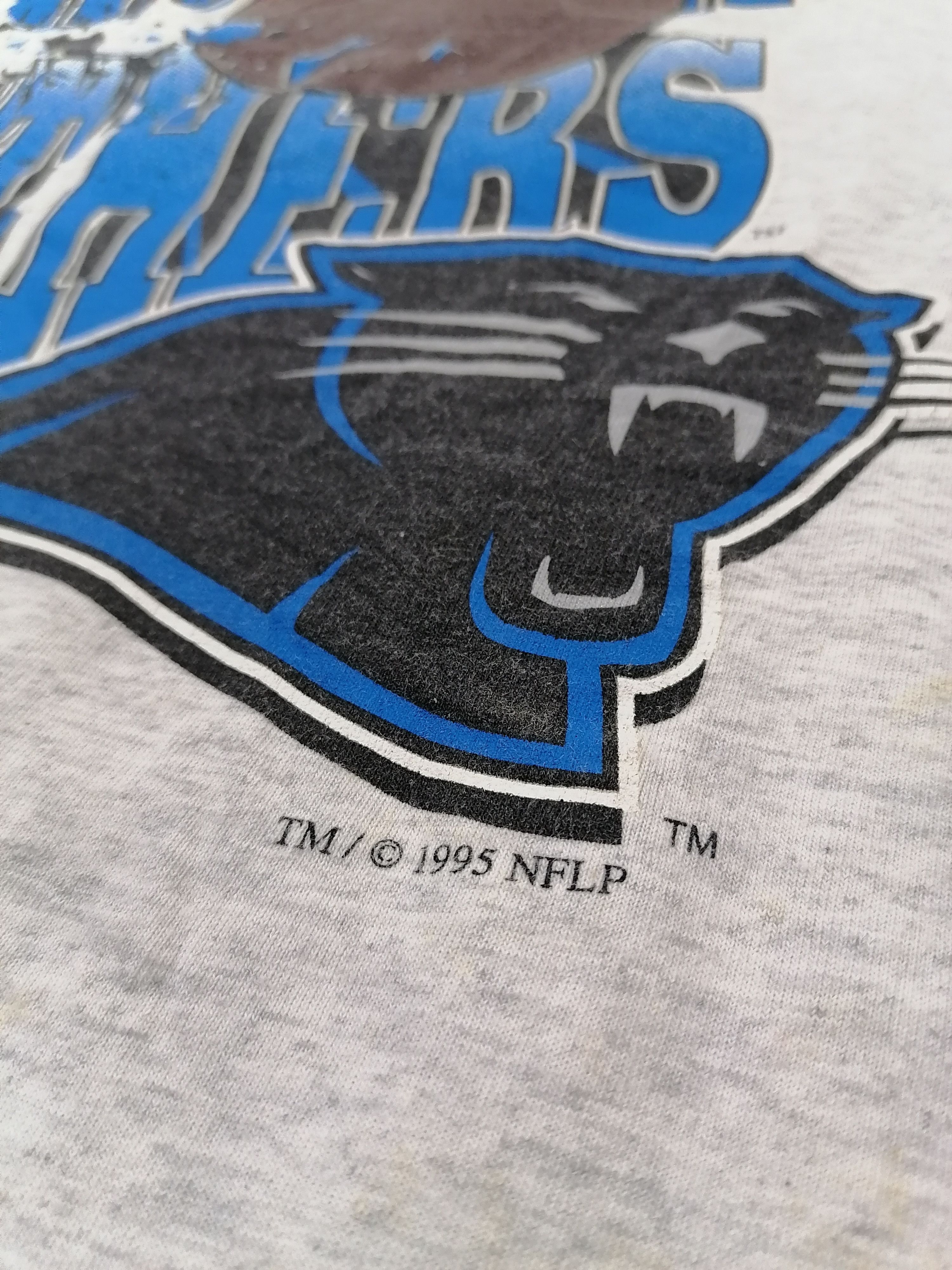 NHL × Vintage Carolina Panthers 1995 Tee Size US L / EU 52-54 / 3 - 2 Thumbnail