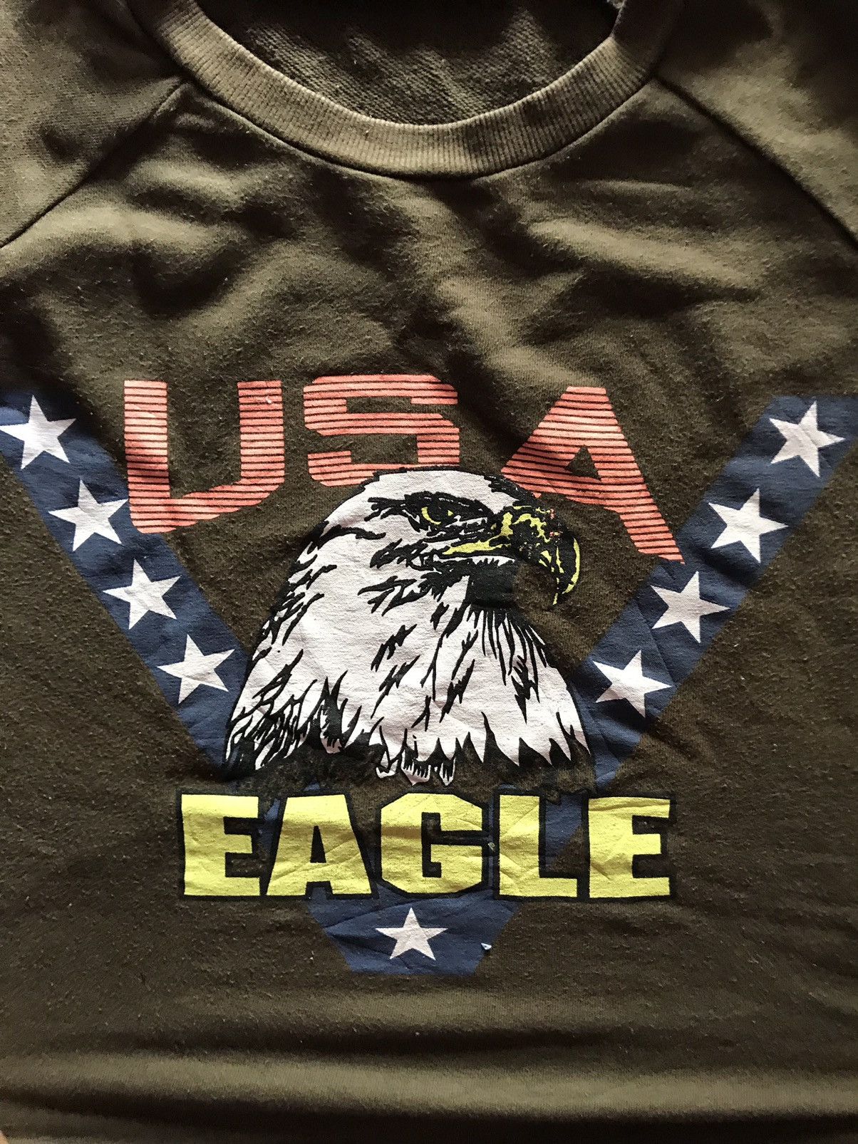 American Eagle Outfitters Usa eagle sweatshirt size M Size US M / EU 48-50 / 2 - 3 Thumbnail
