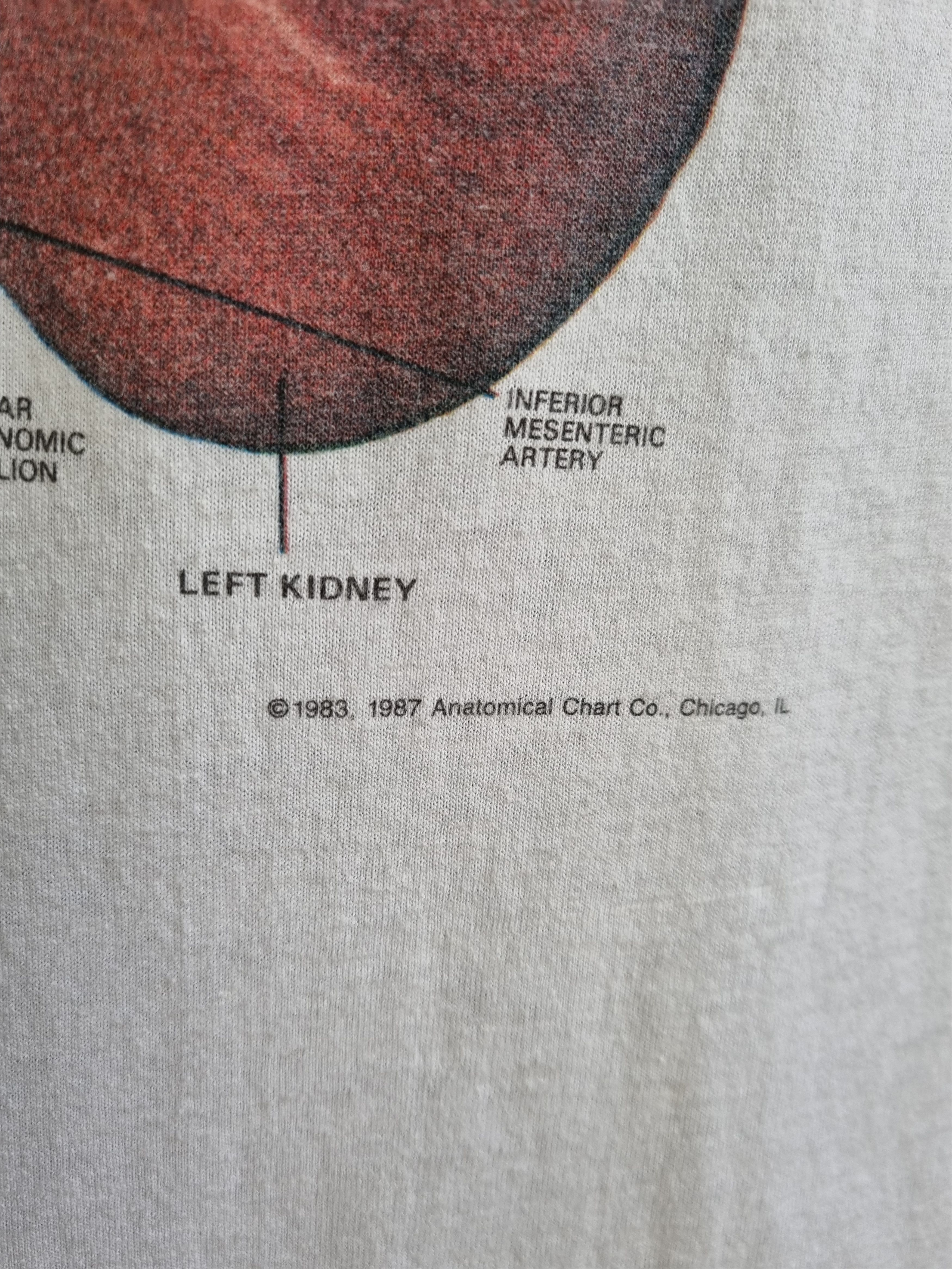 Hanes × Vintage Detailed Anatomy System Medical single stitch tee shirt Size US L / EU 52-54 / 3 - 8 Thumbnail