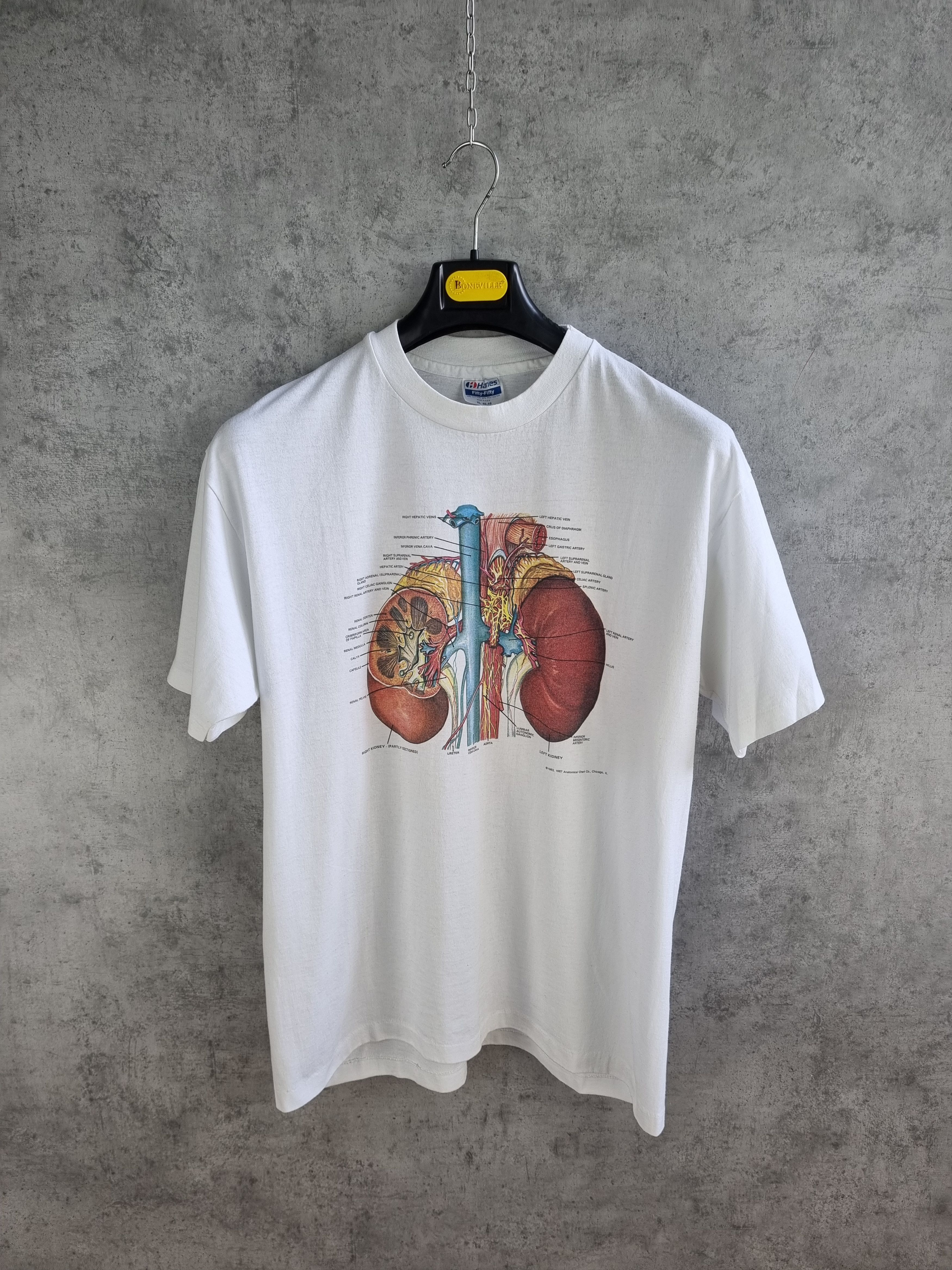 Hanes × Vintage Detailed Anatomy System Medical single stitch tee shirt Size US L / EU 52-54 / 3 - 3 Thumbnail