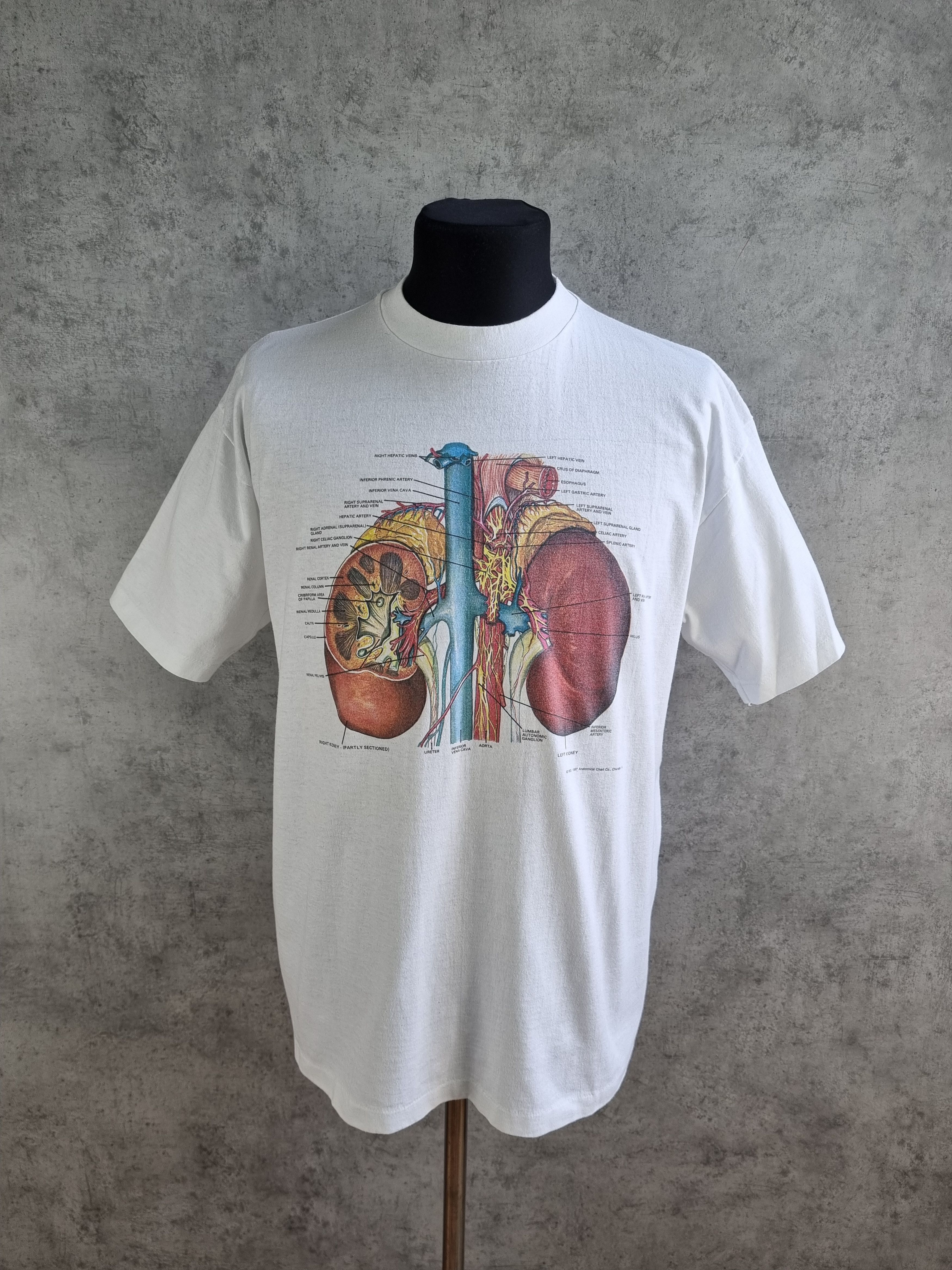 Hanes × Vintage Detailed Anatomy System Medical single stitch tee shirt Size US L / EU 52-54 / 3 - 1 Thumbnail