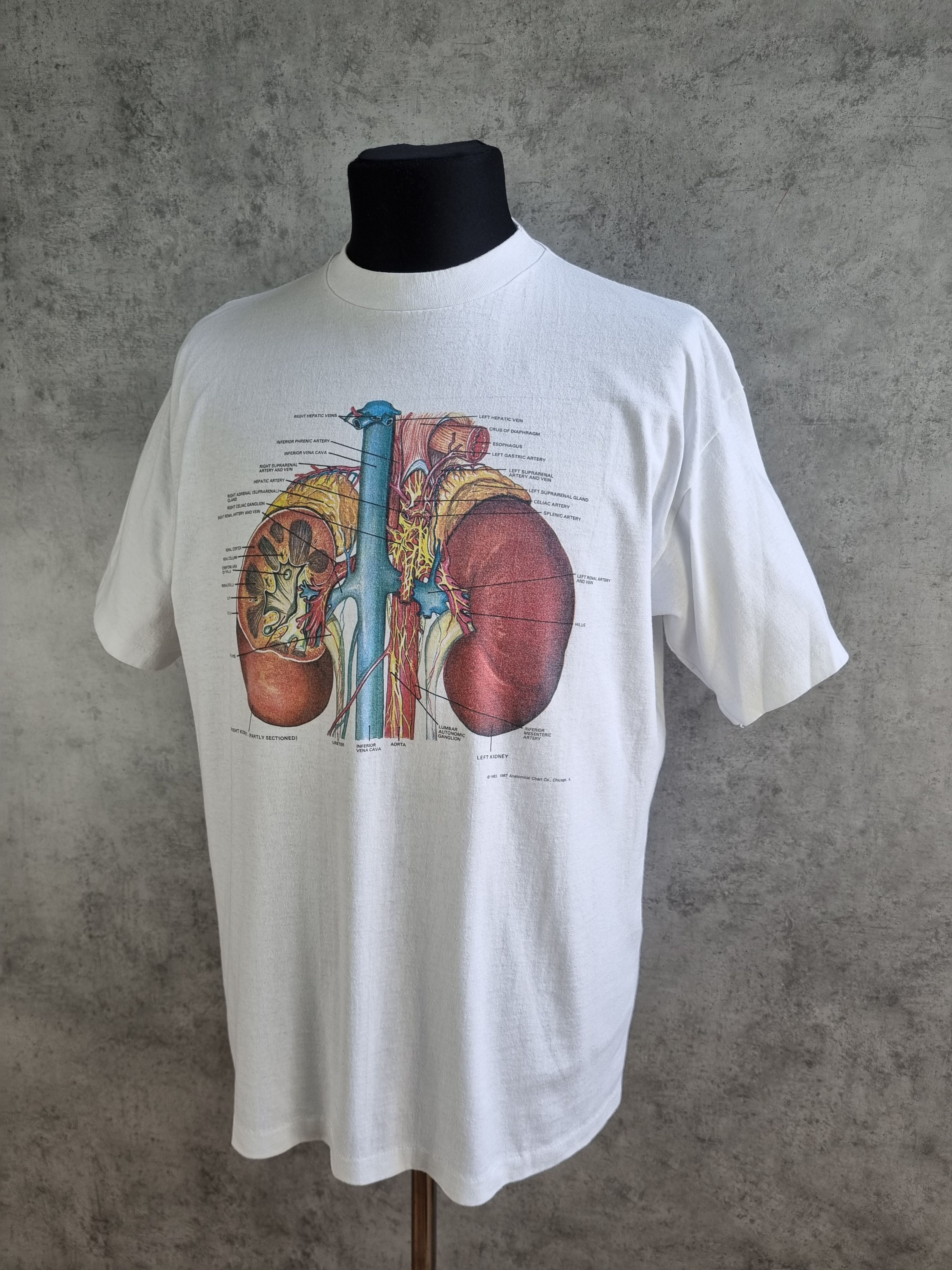 Hanes × Vintage Detailed Anatomy System Medical single stitch tee shirt Size US L / EU 52-54 / 3 - 2 Thumbnail
