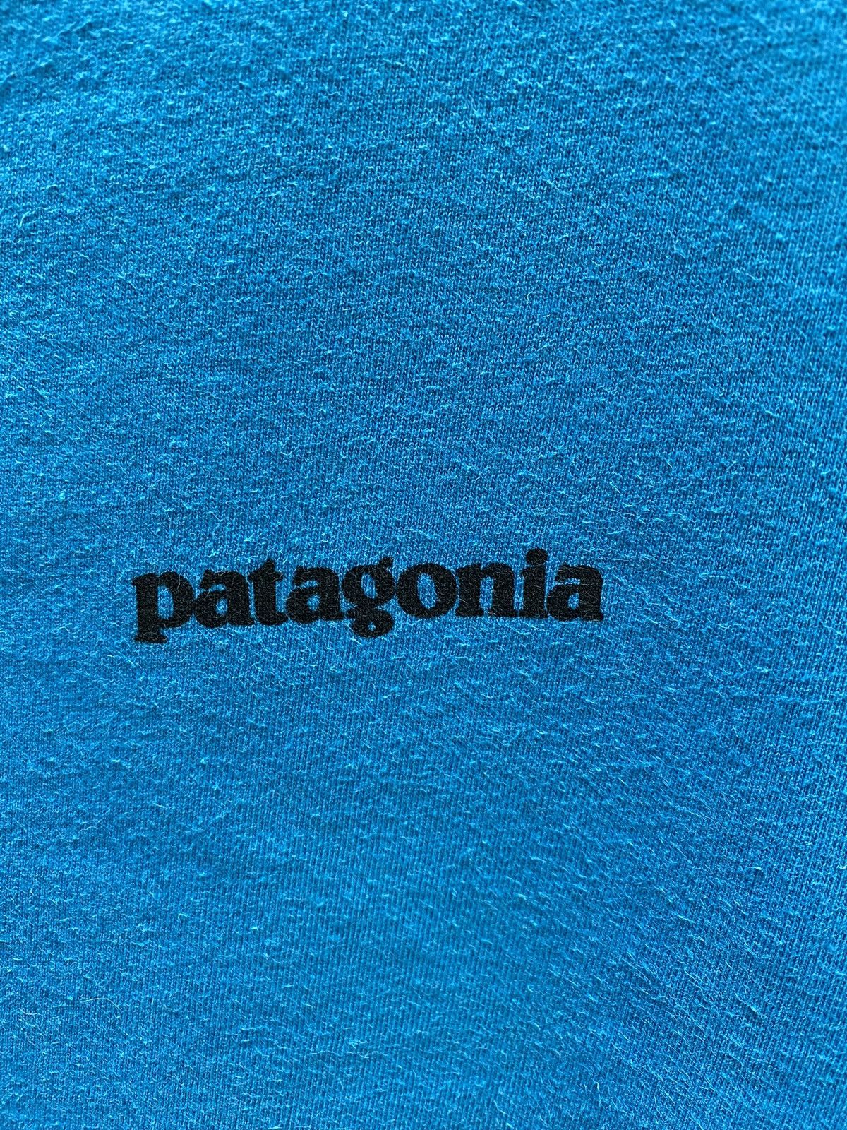 Patagonia Patagonia Big Logo On Back T Shirt Size US S / EU 44-46 / 1 - 7 Thumbnail