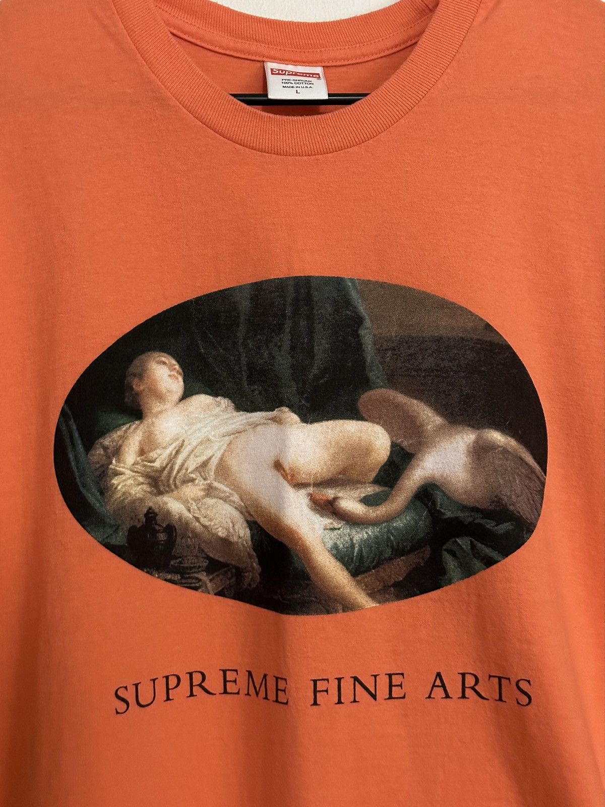 Supreme Supreme Leda And The Swan Tee Size US L / EU 52-54 / 3 - 2 Thumbnail