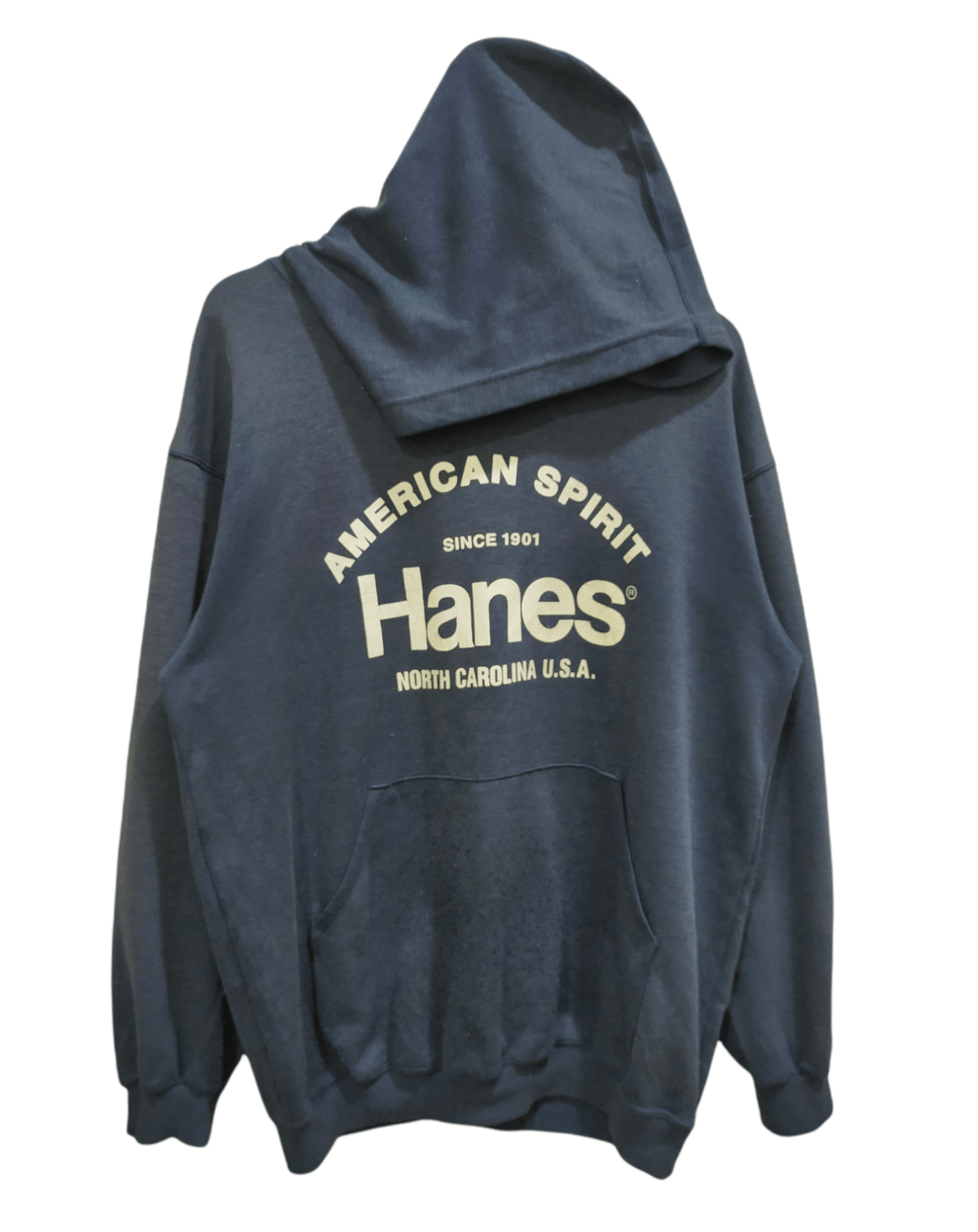 image of Hanes American Spirit Since 1901 Hoodie in Blue, Men's (Size Large)