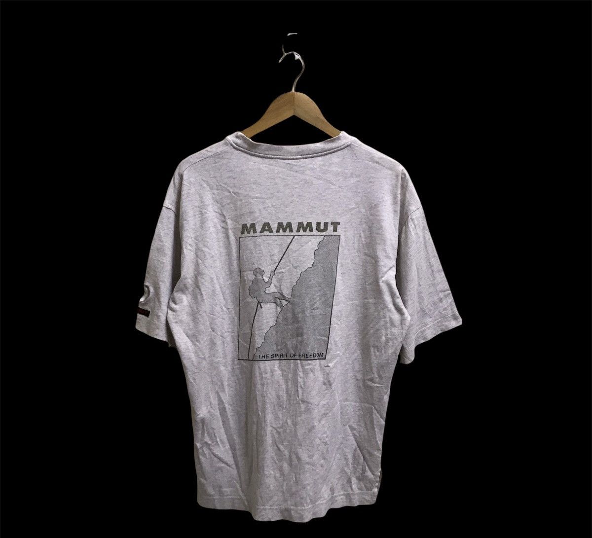 Mammut Mammut tshirt Size US L / EU 52-54 / 3 - 1 Thumbnail